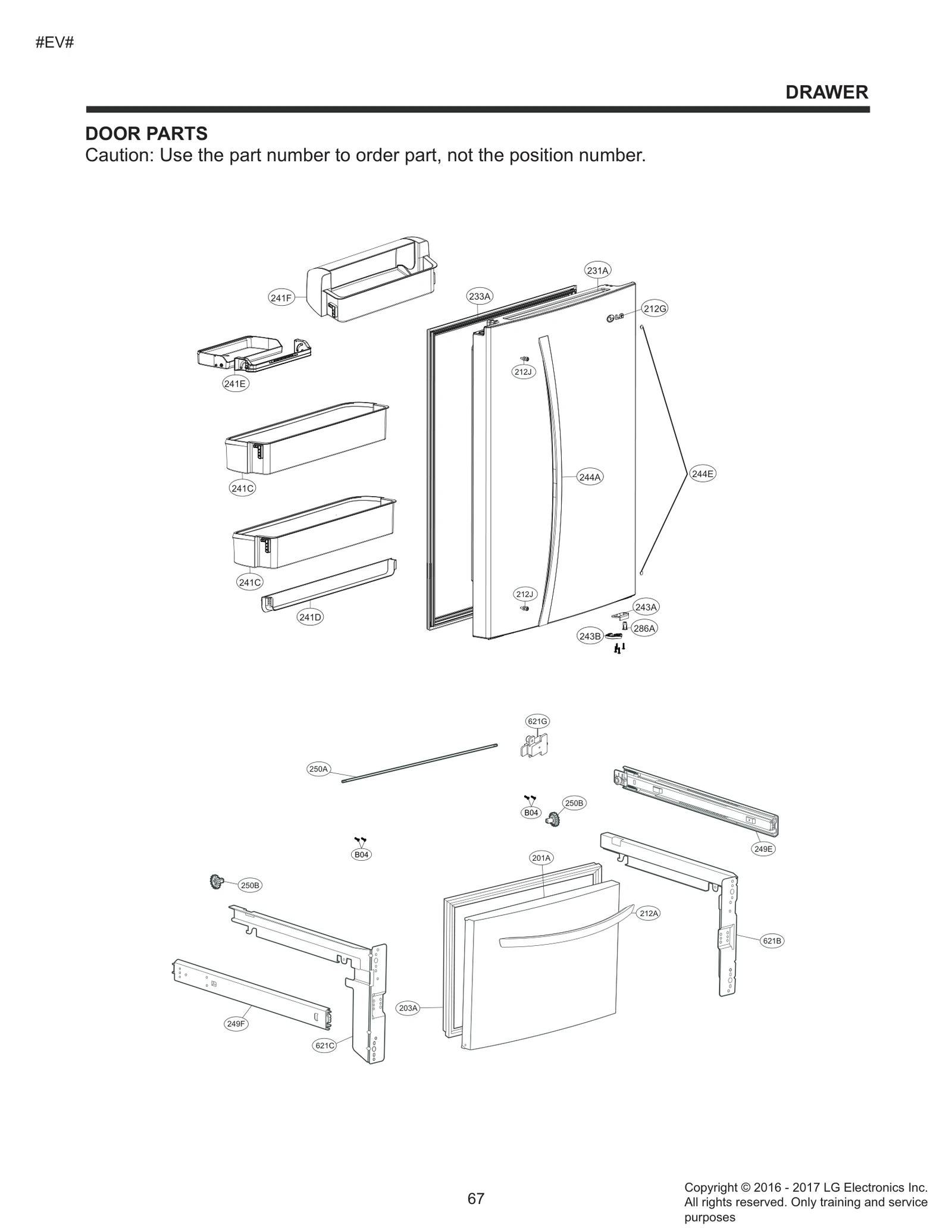 Door Foam Assembly