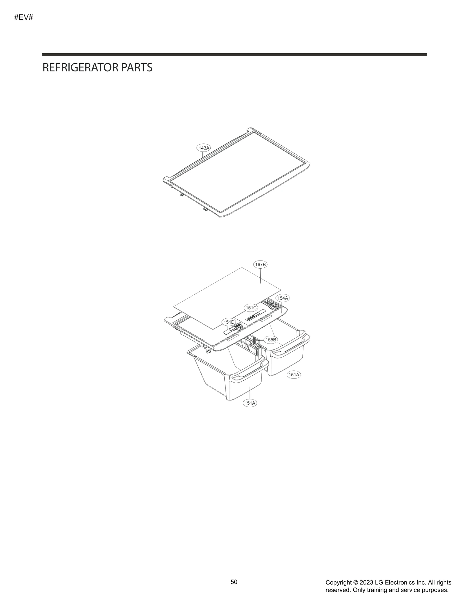 Tray, Vegetable