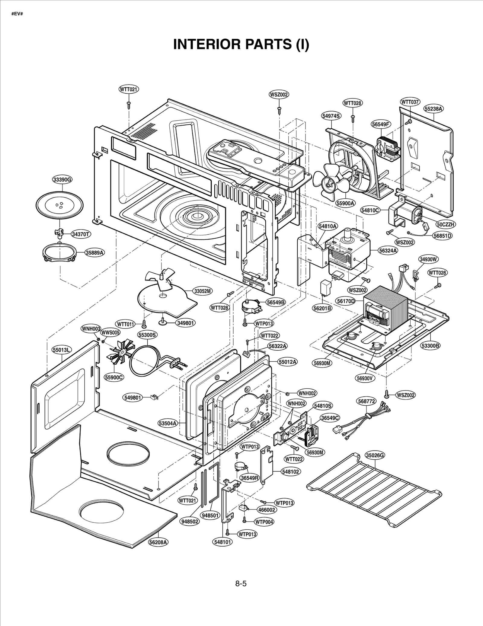 Circulation Motor