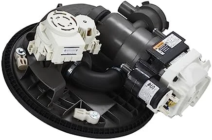 Pump and Motor Assembly