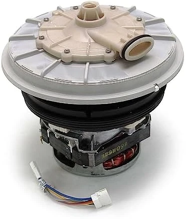 Pump and Motor