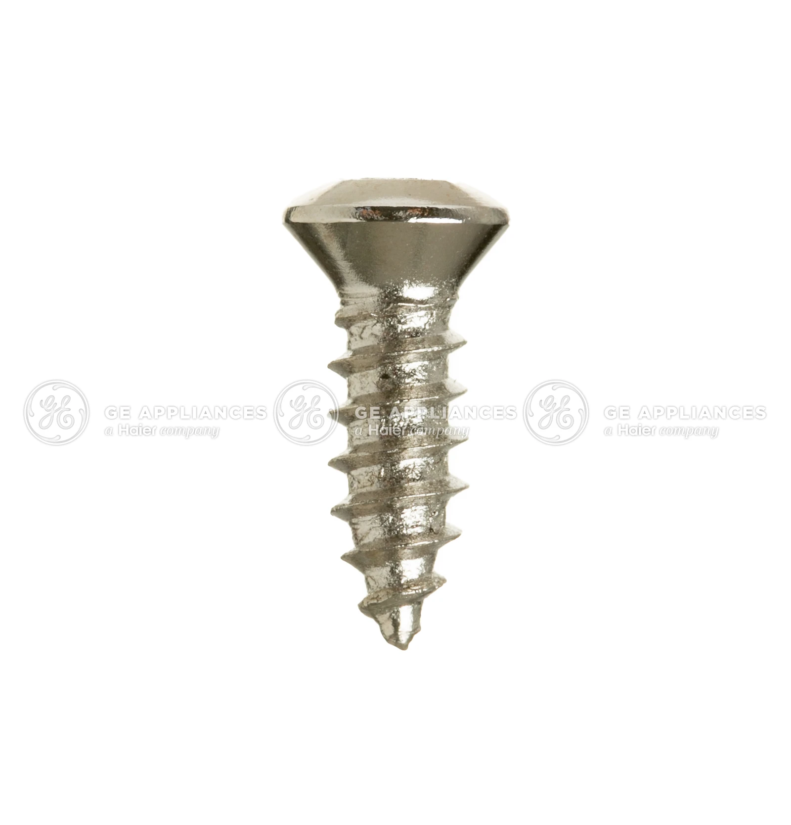 Stainless Steel Screw 8-18 AB FLT15 3/8