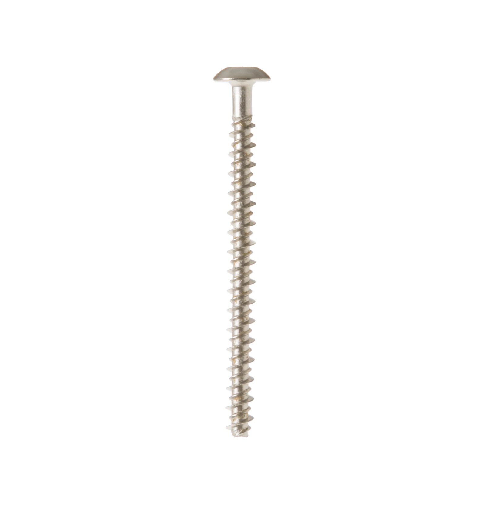 Screw 10-16 PL PNT