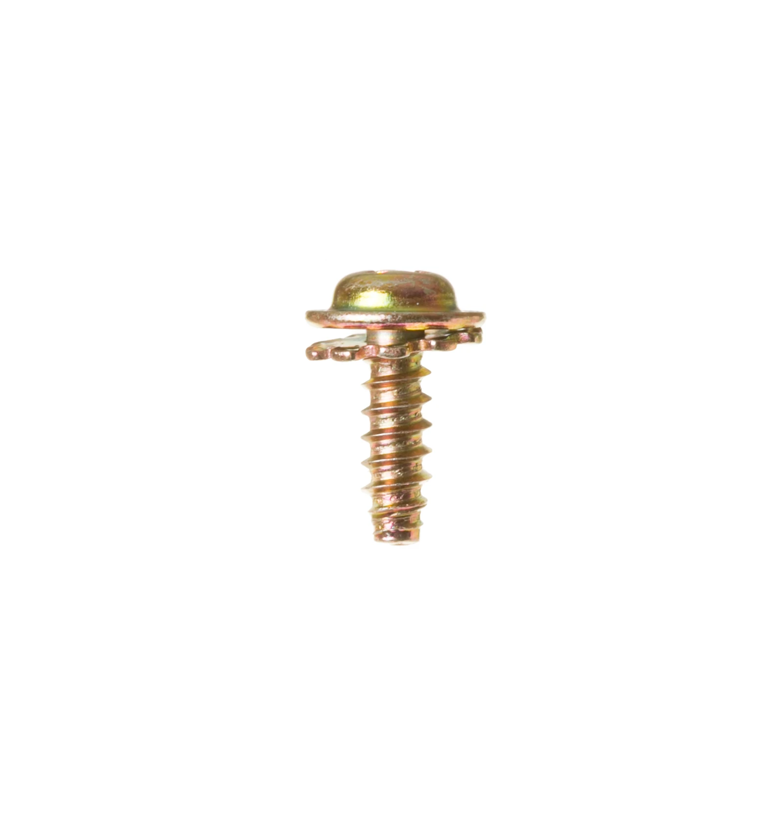 Screw