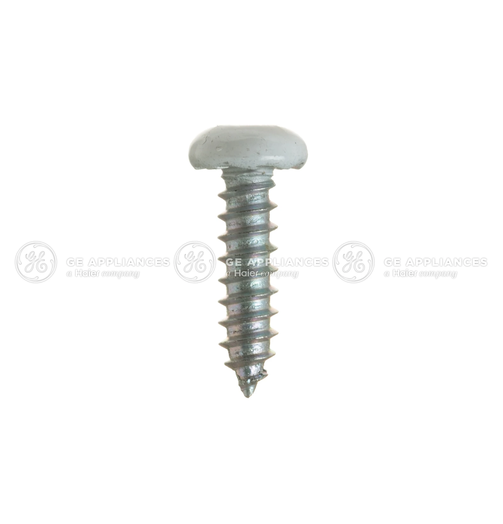 Screw (White)