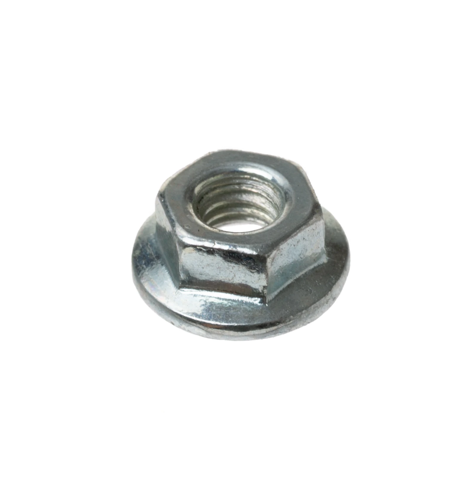 Common Nut