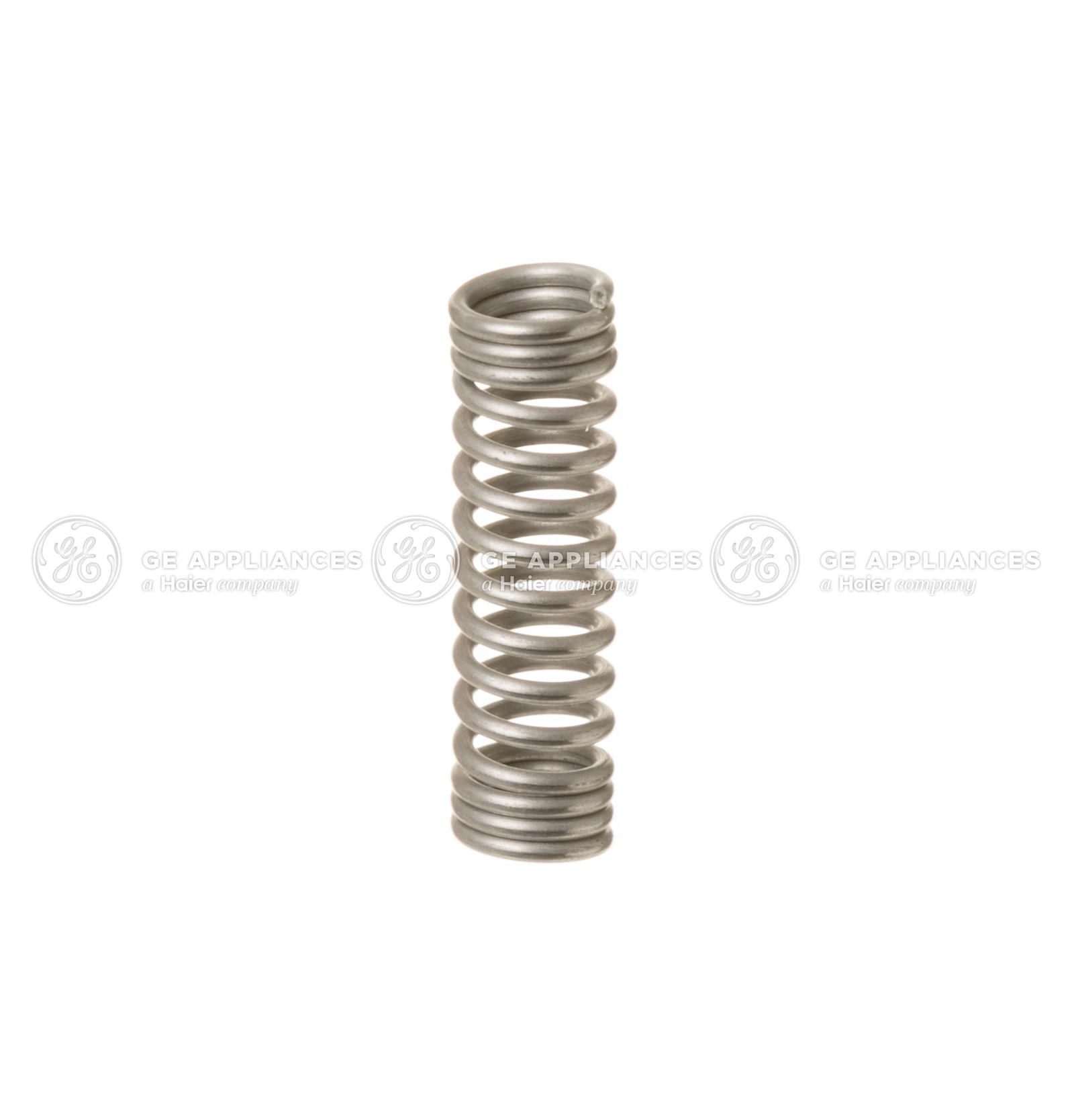 Stainless Spring
