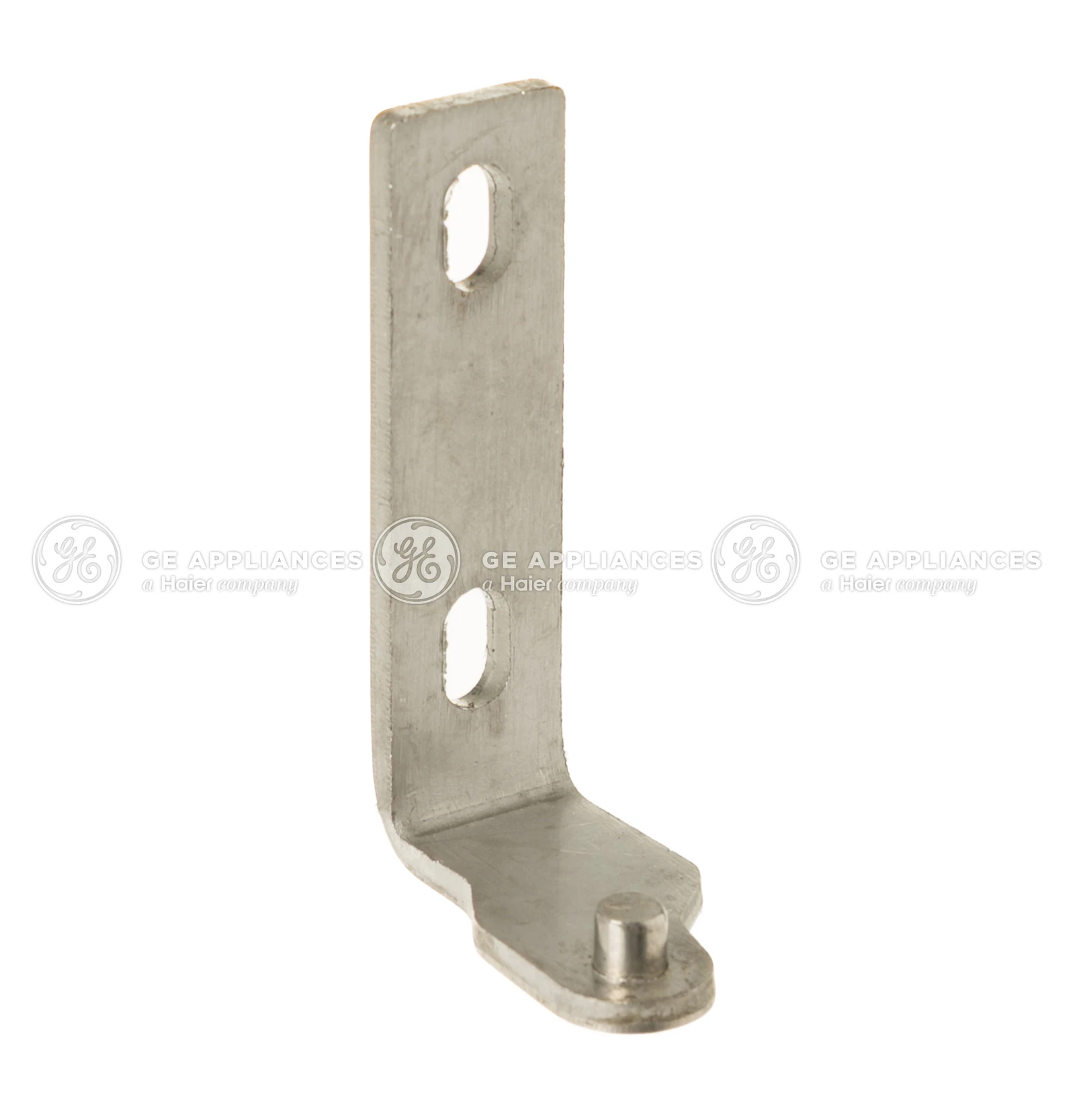 Lower Door Hinge