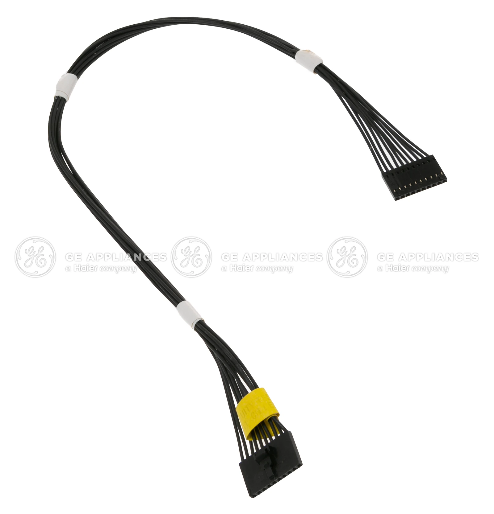 Logic/Display Harness