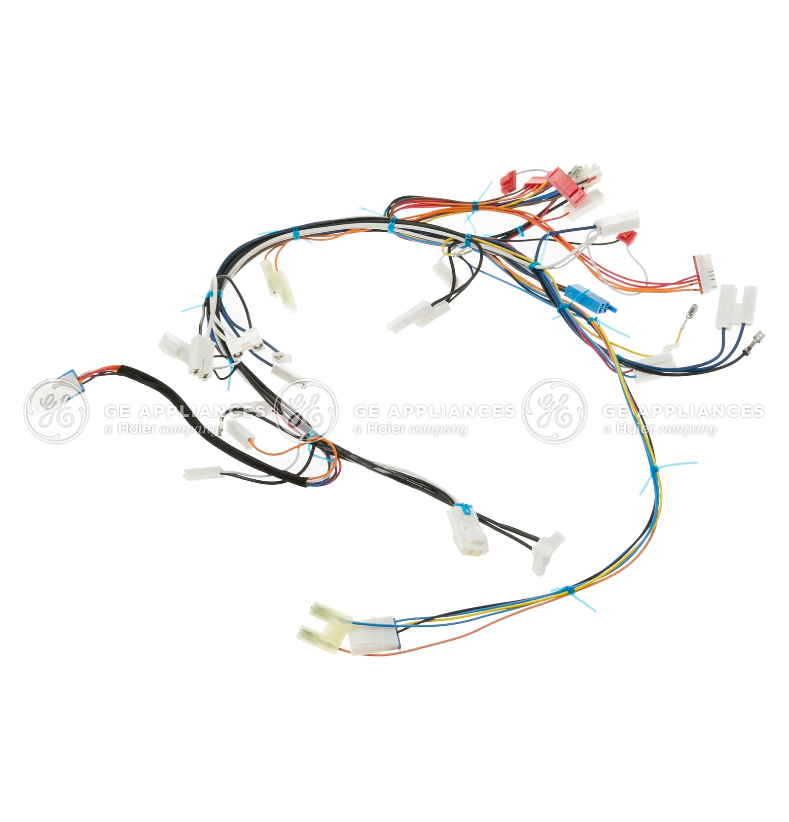 Main Wire Harness Assembly