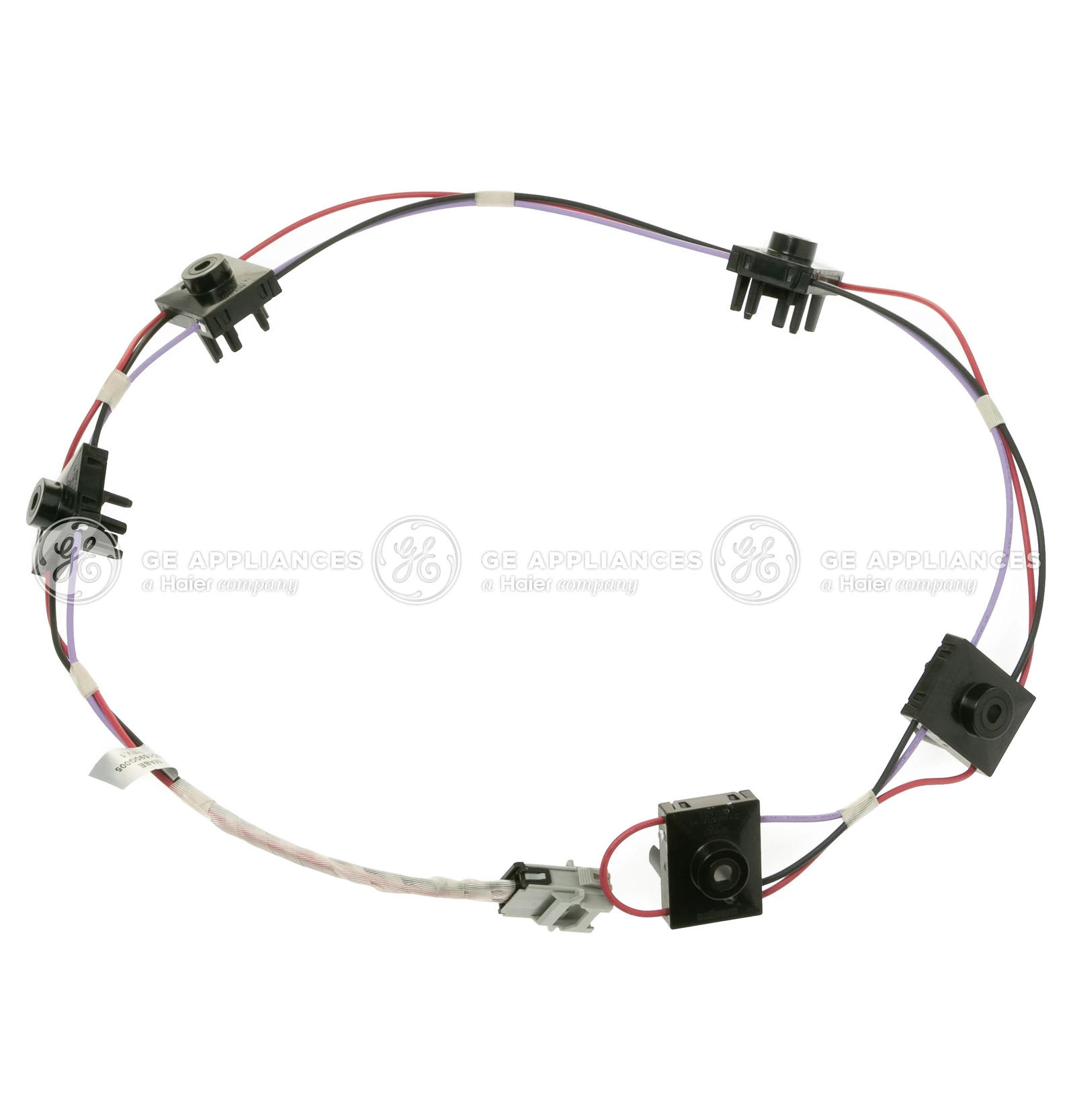 Switch Harness