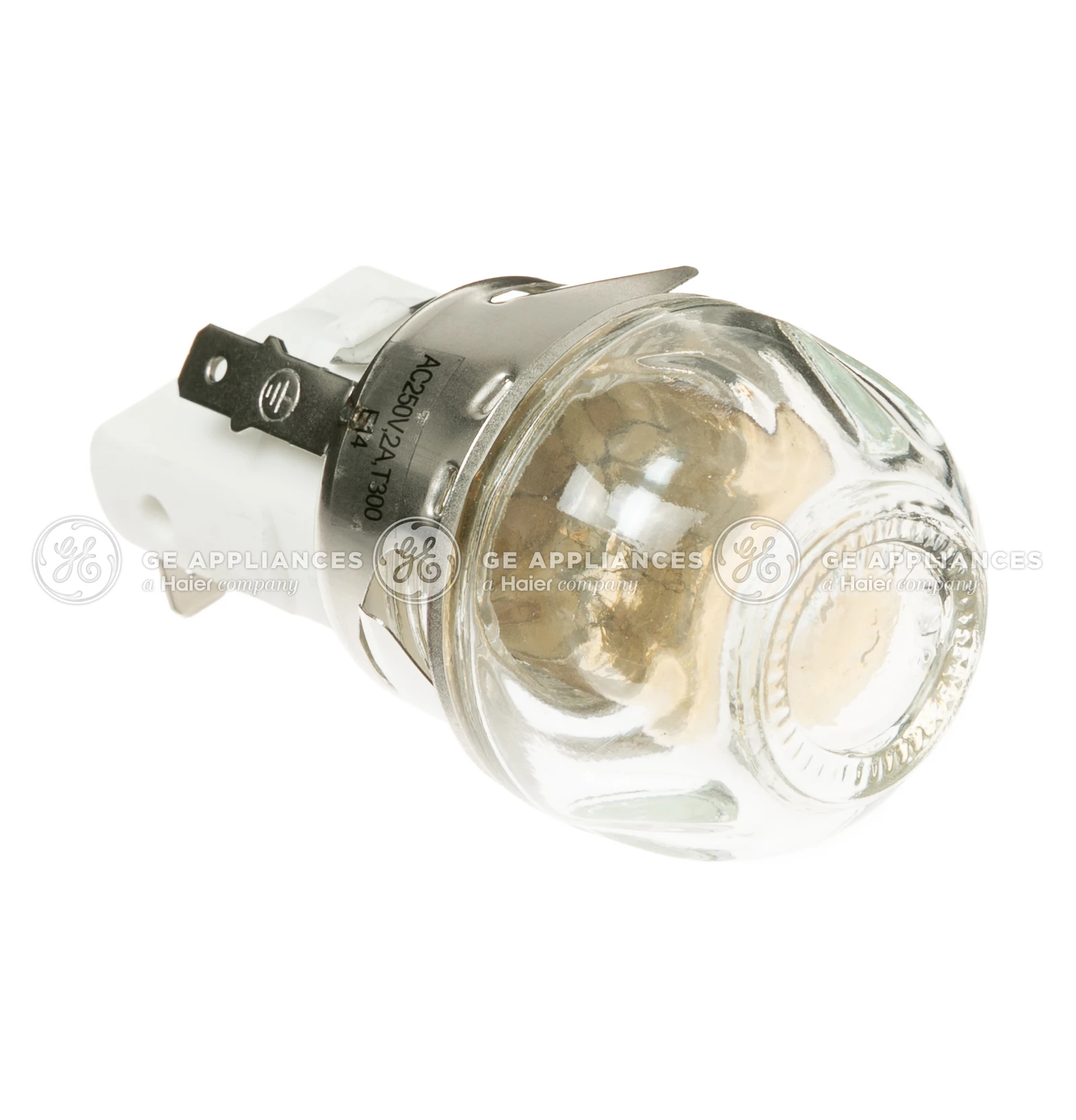 Lens and Lamp Socket Assembly