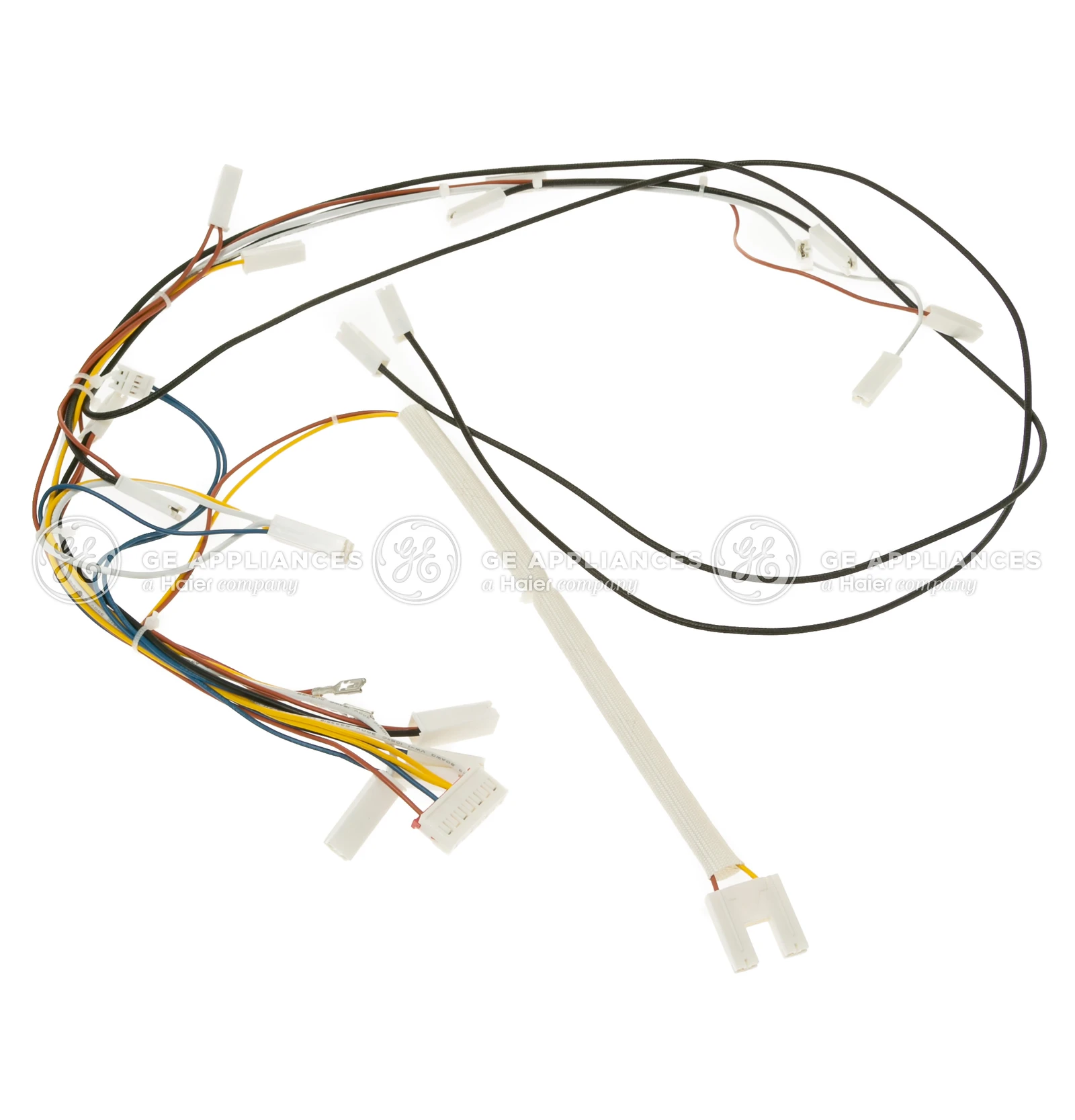 Main Harness