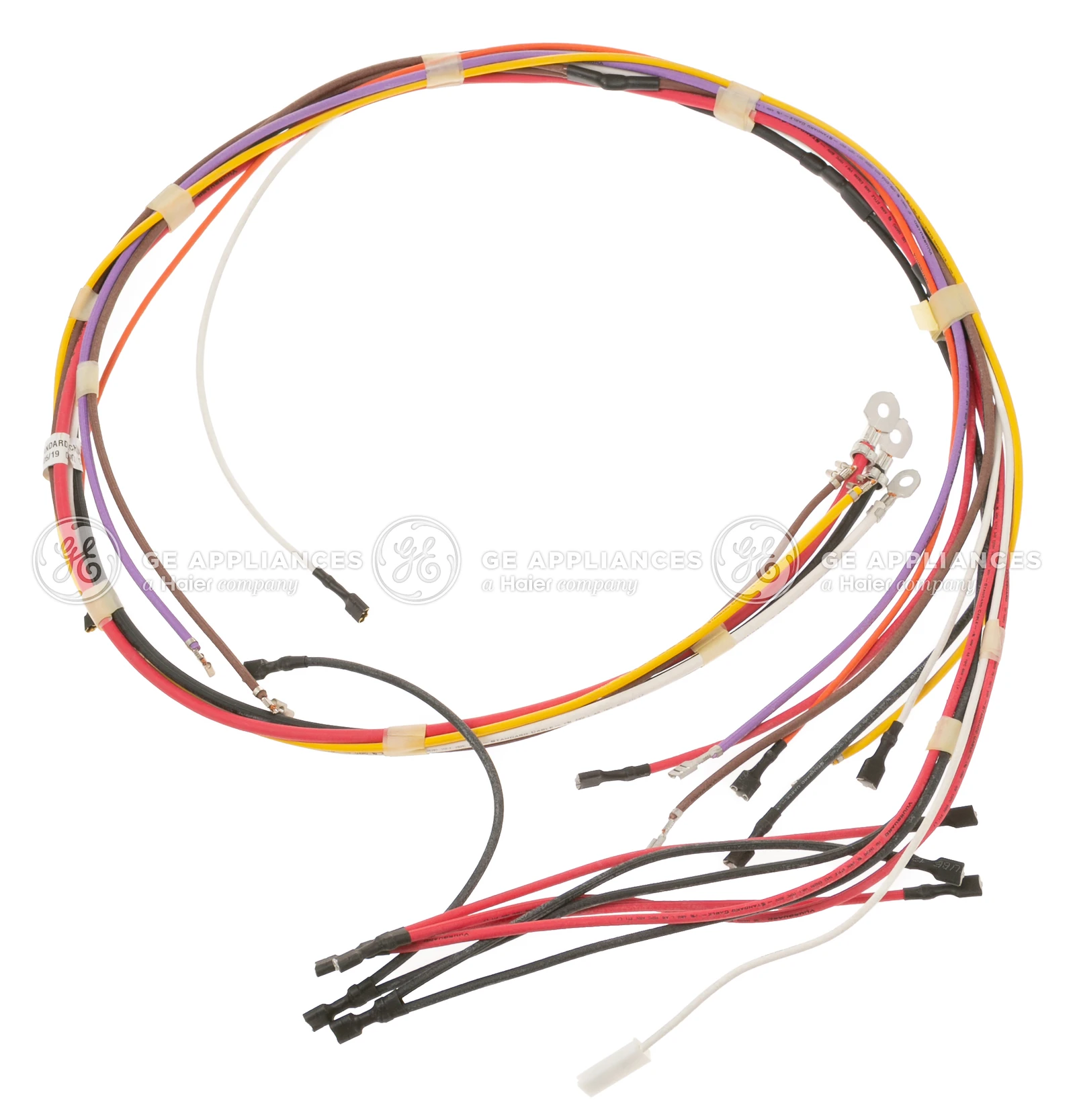 Main Harness