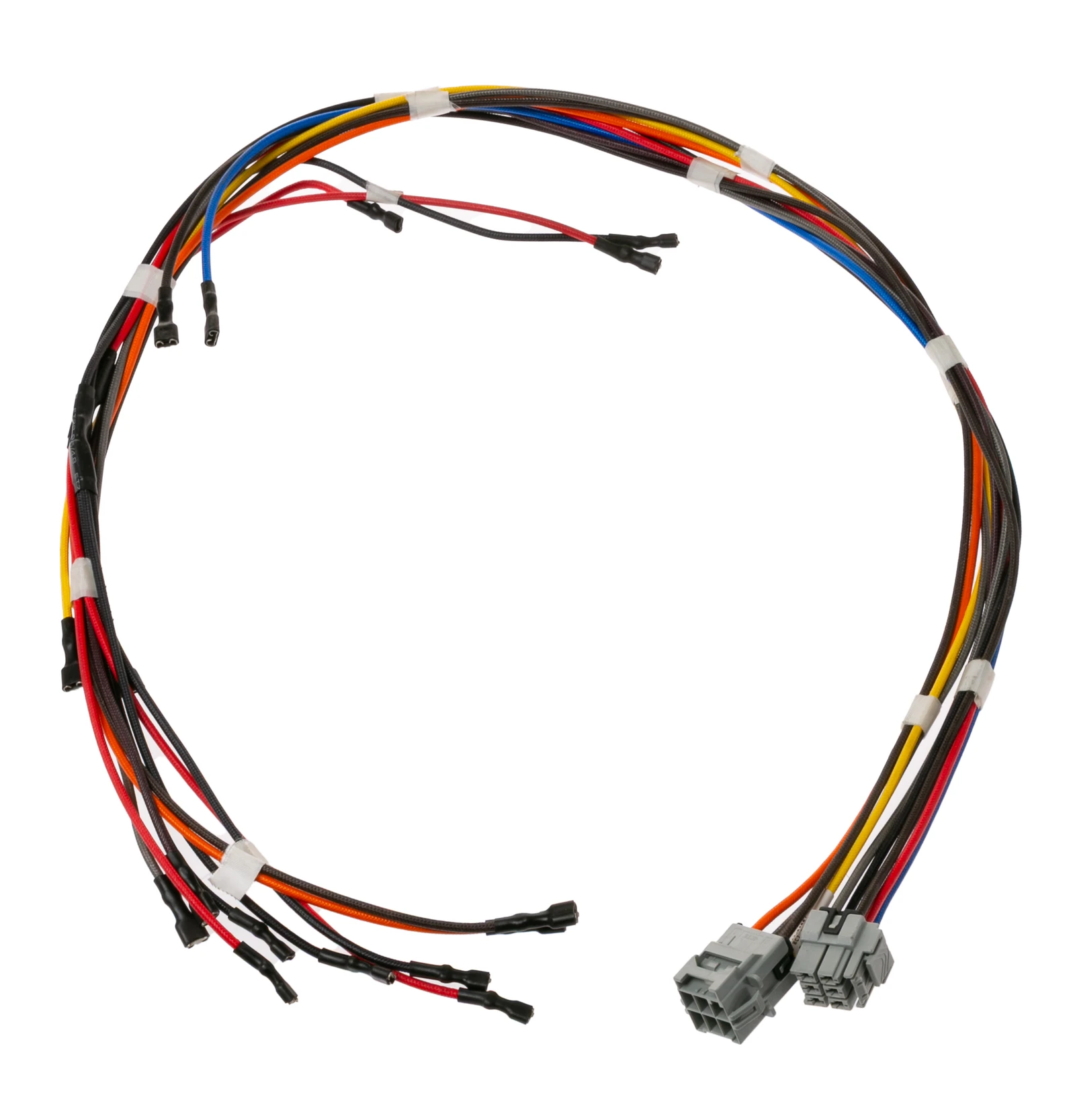 Harness