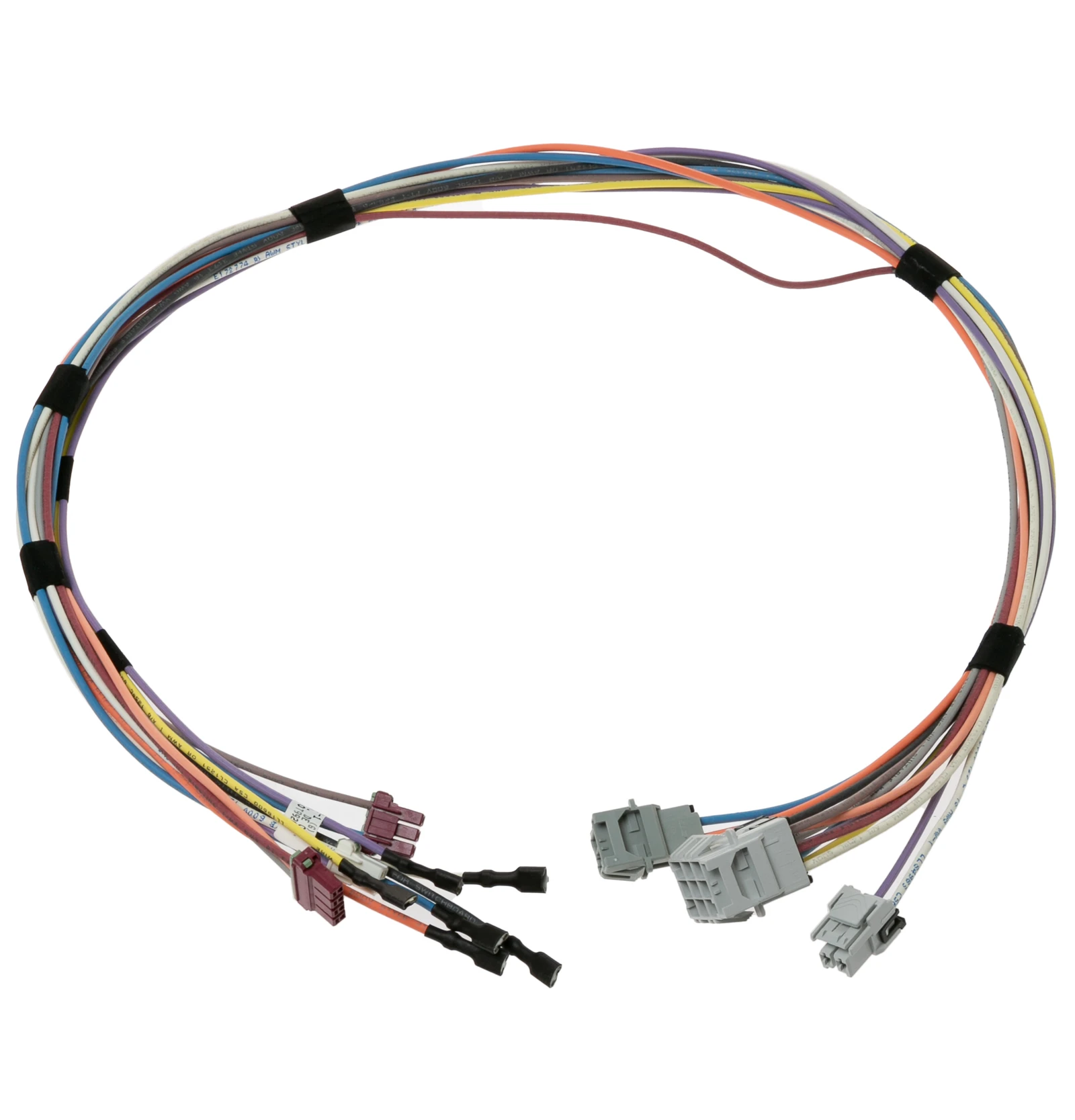 Backguard Harness