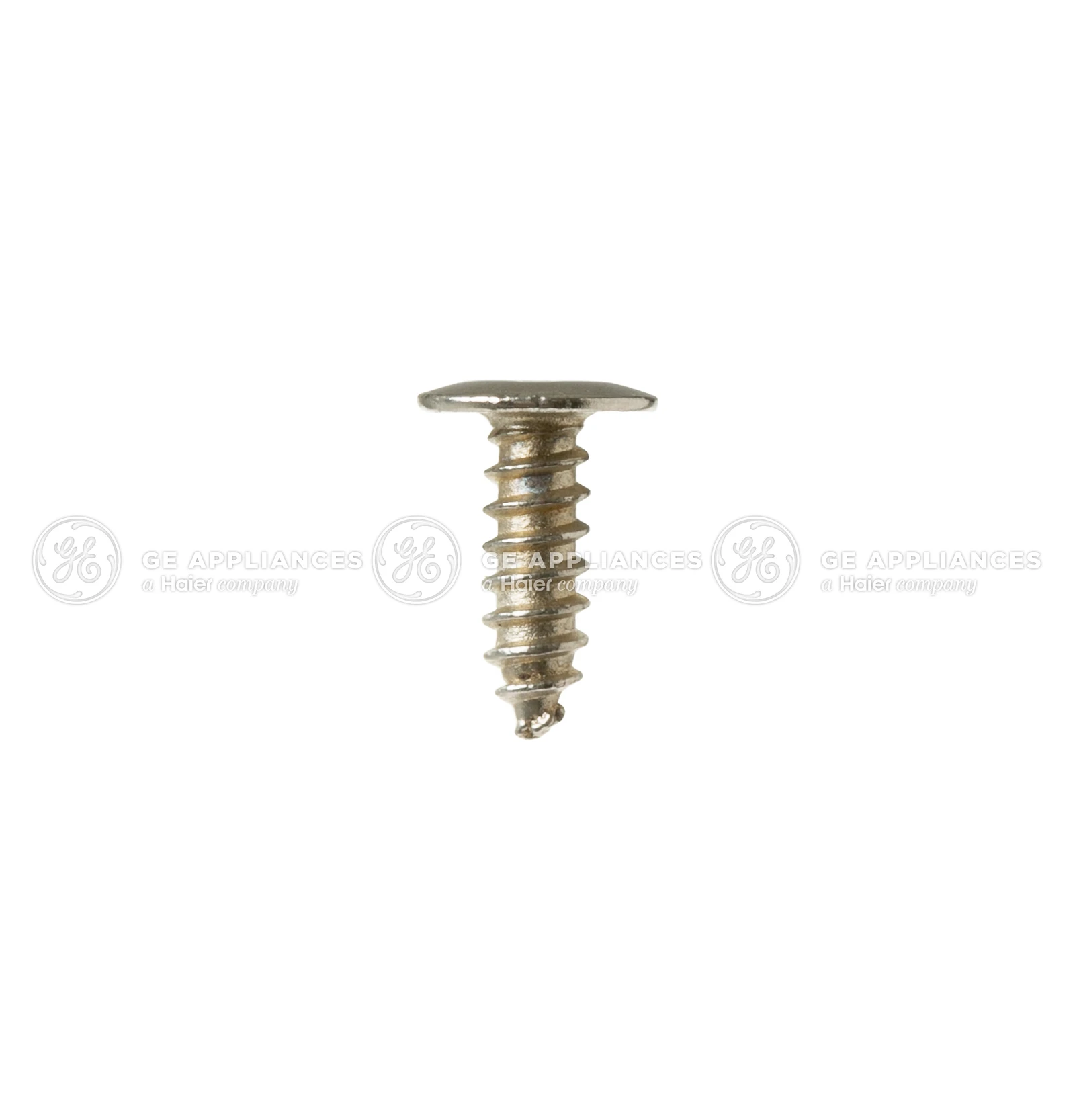 Screw