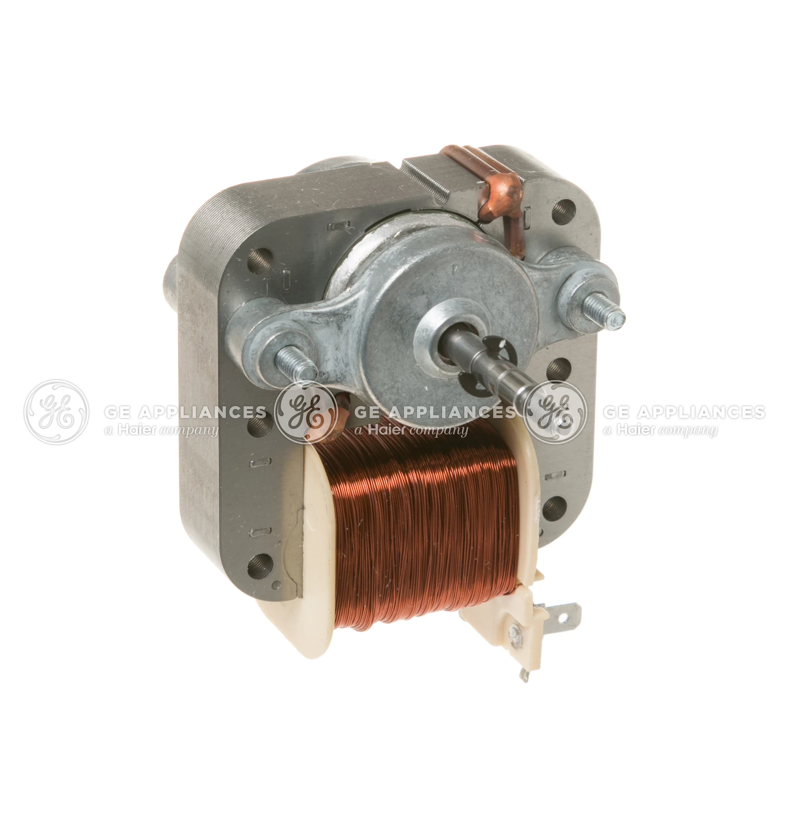 Fan Motor
