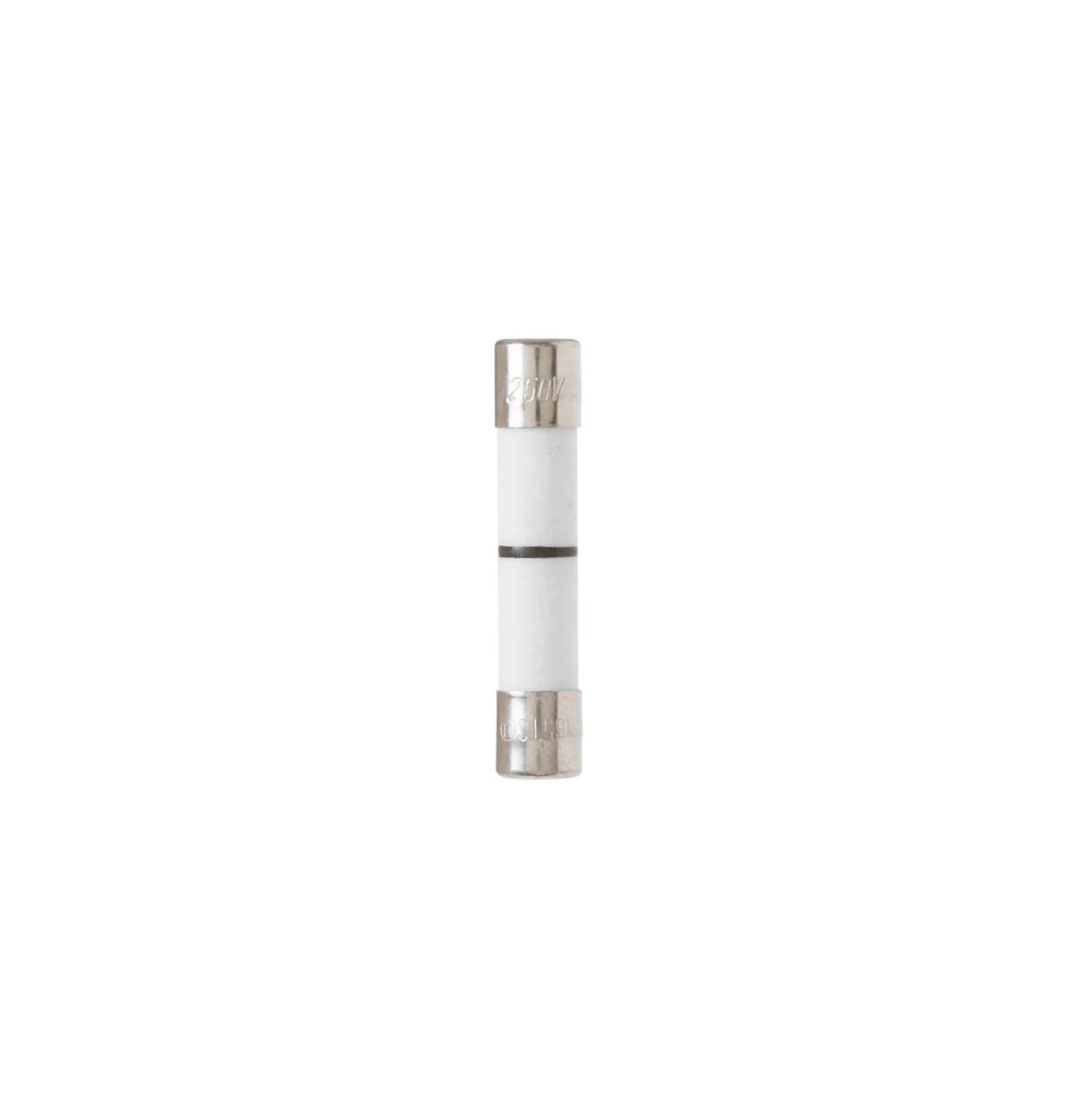 Line Fuse
