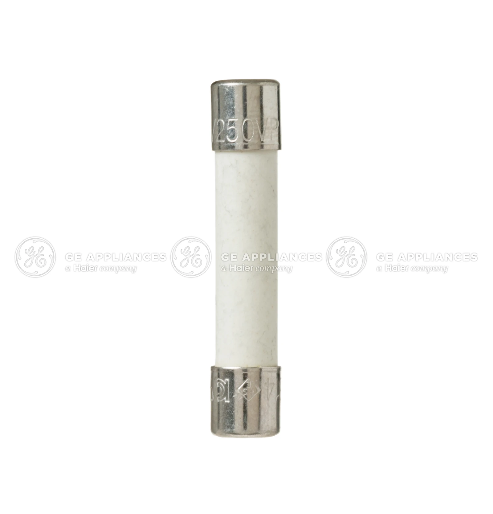 250V 20A Fuse