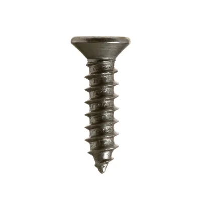 Insulation Screws