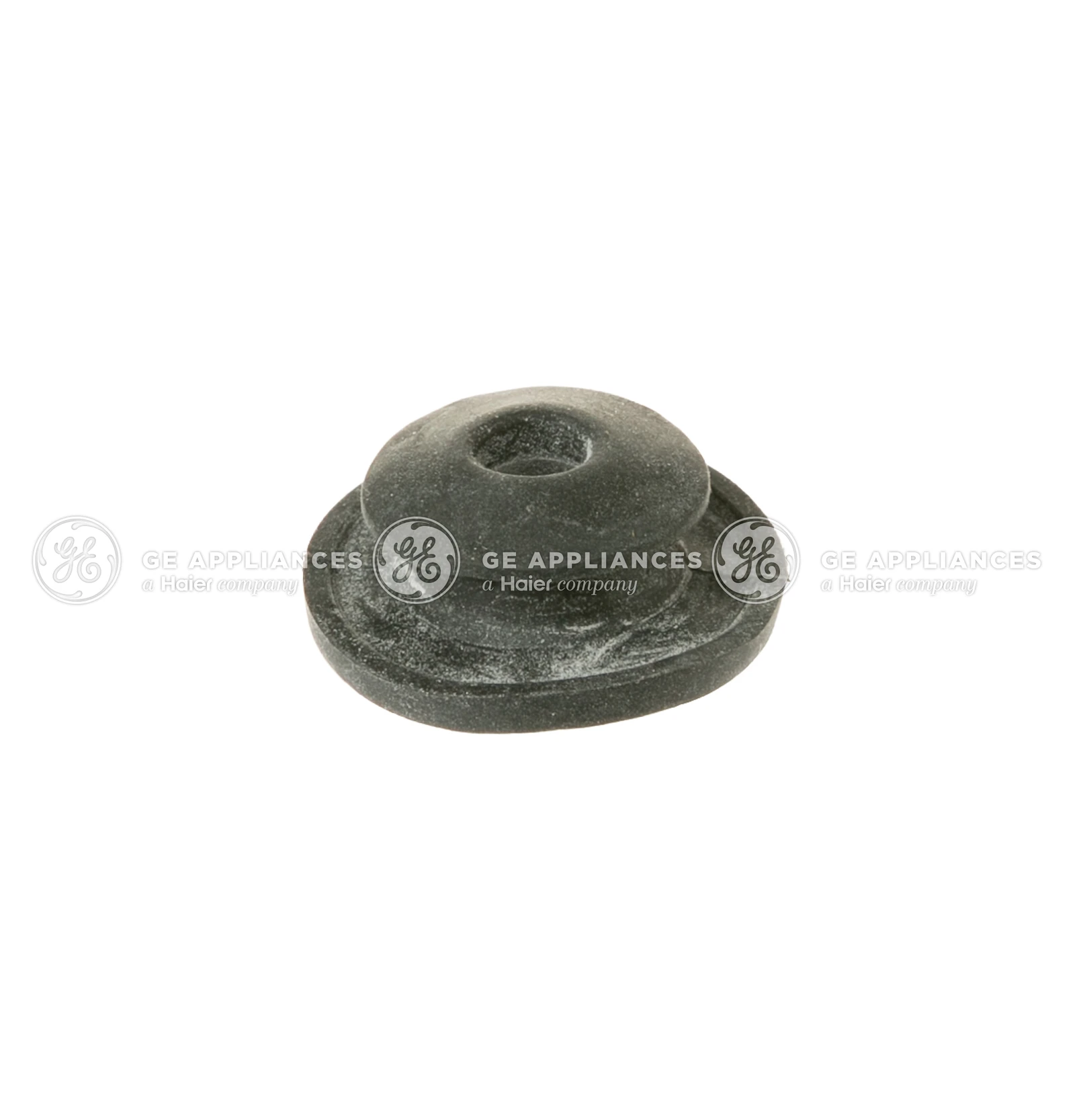 Glass and Shaft Seal