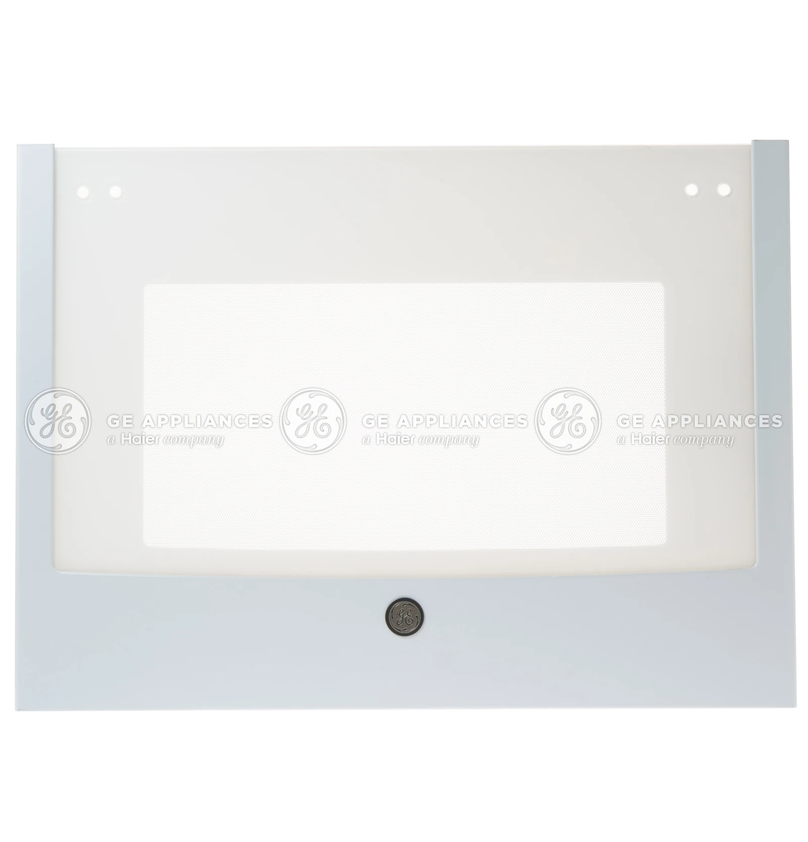Door Glass and Panel Assembly