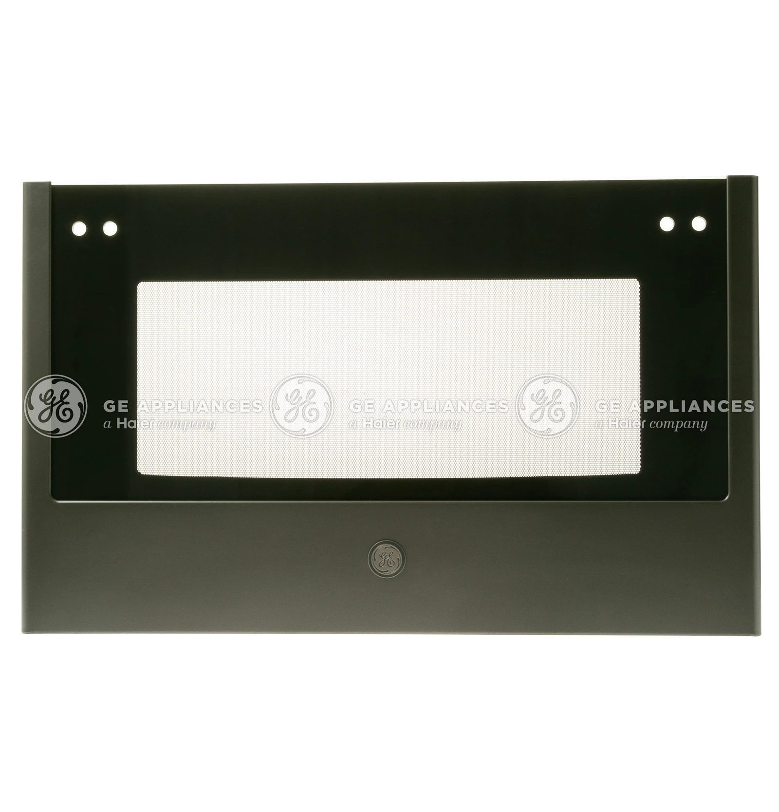 Door Glass Panel Assembly