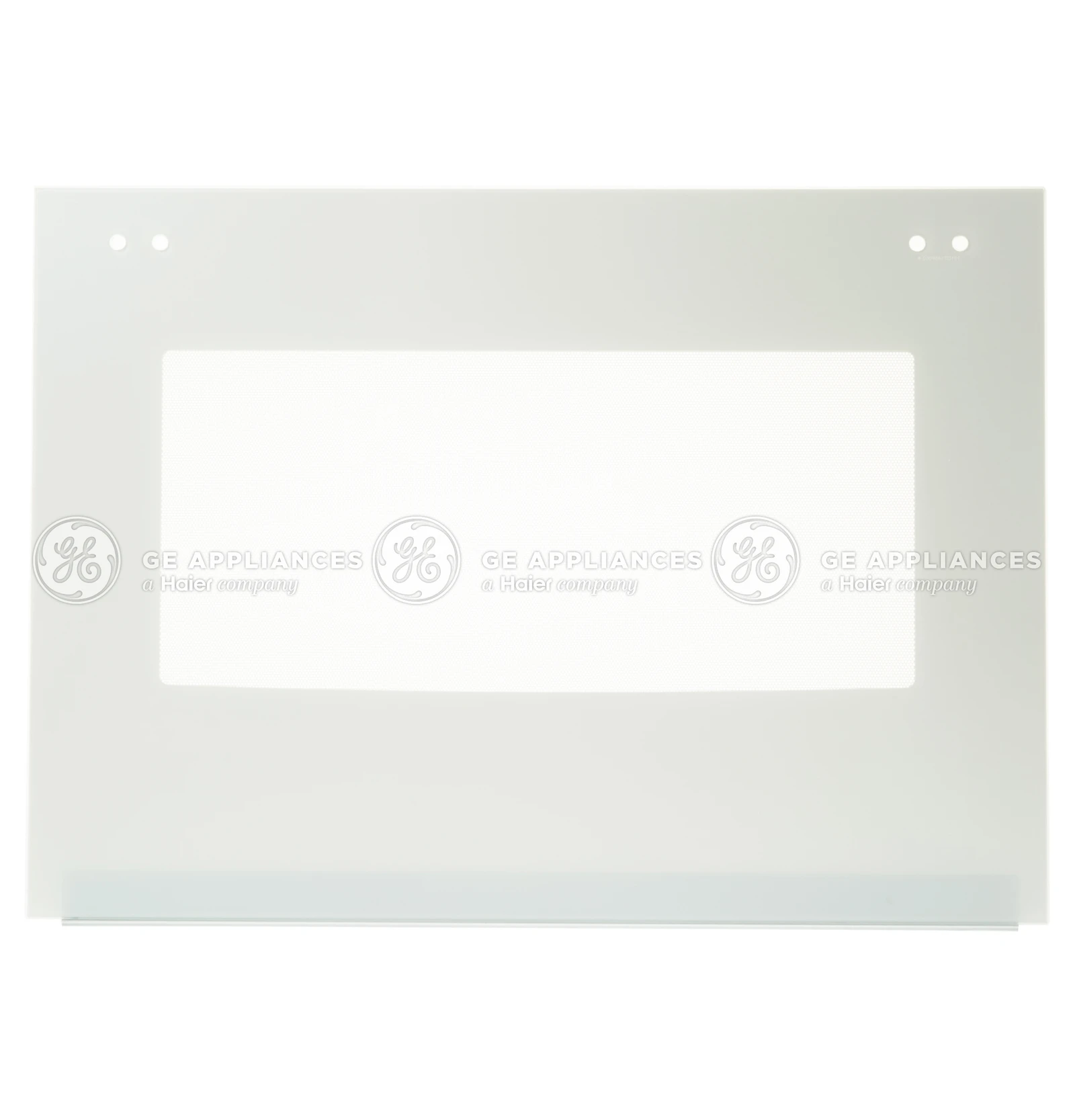 Door Glass and Trim Assembly