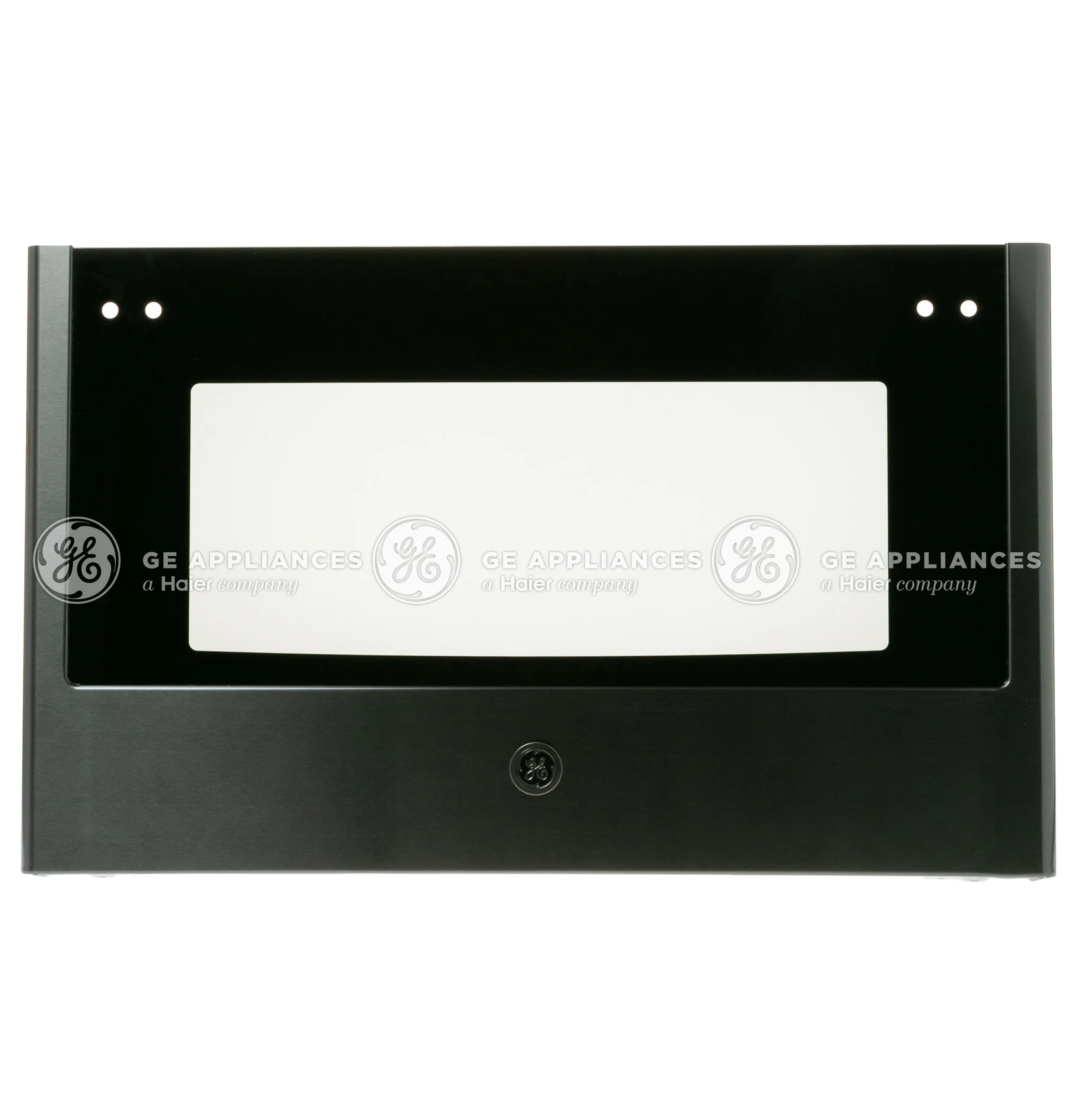 Door Glass and Panel Assembly