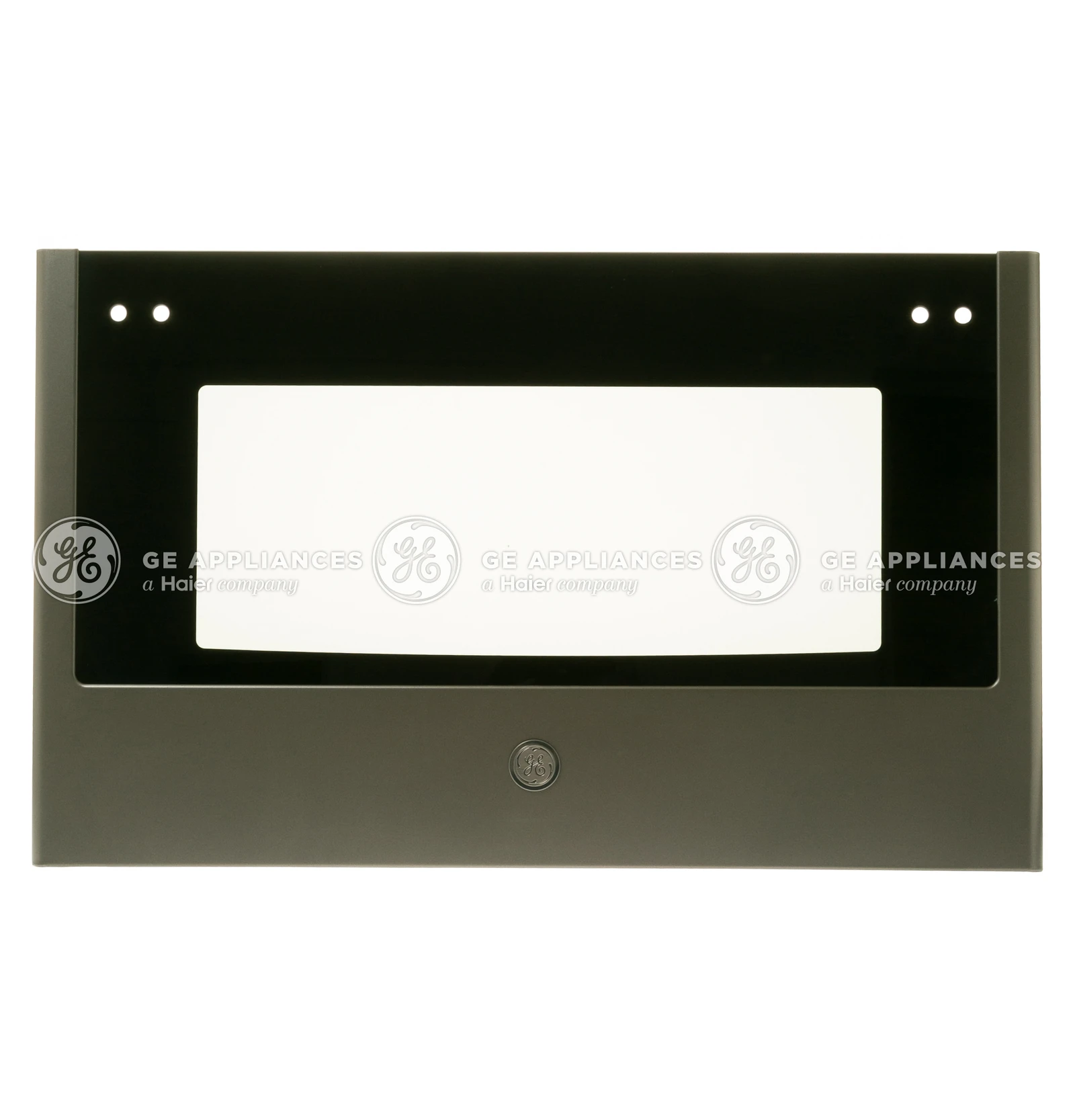 Door Glass and Panel Assembly