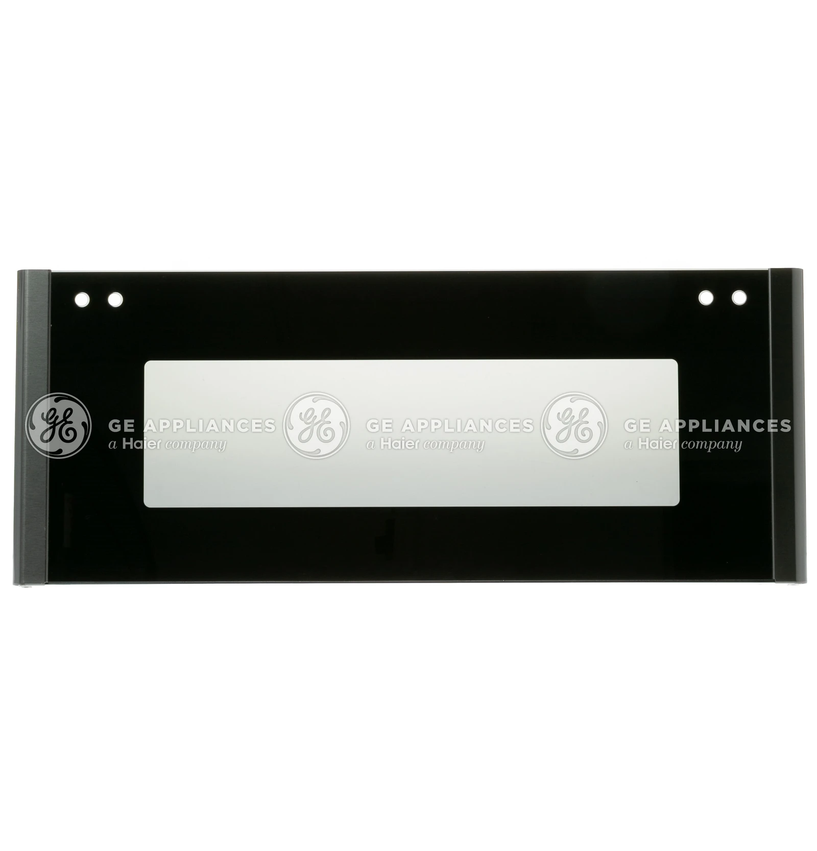 Door Glass and Panel Assembly