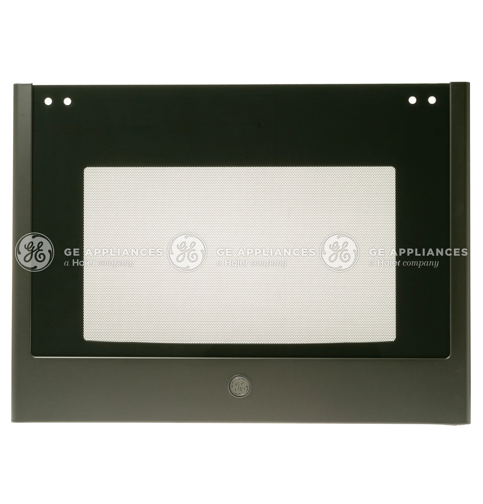 Door Glass and Panel Assembly