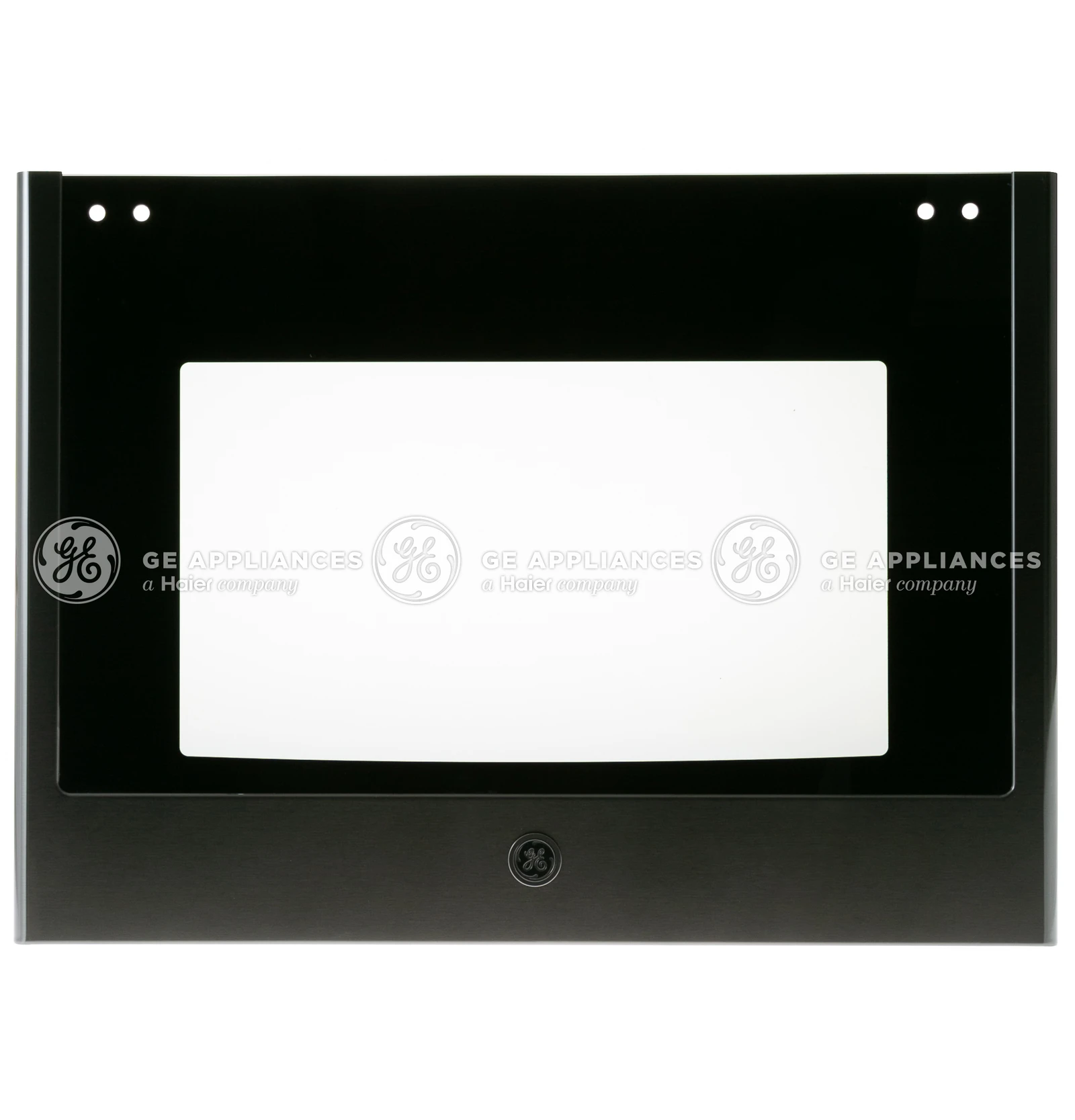 Door Glass and Panel Assembly