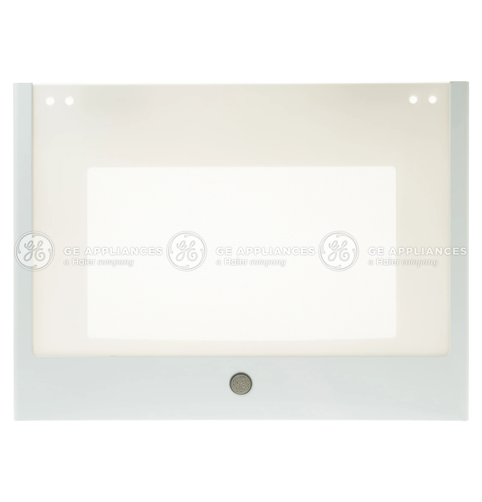 Door Glass and Panel Assembly