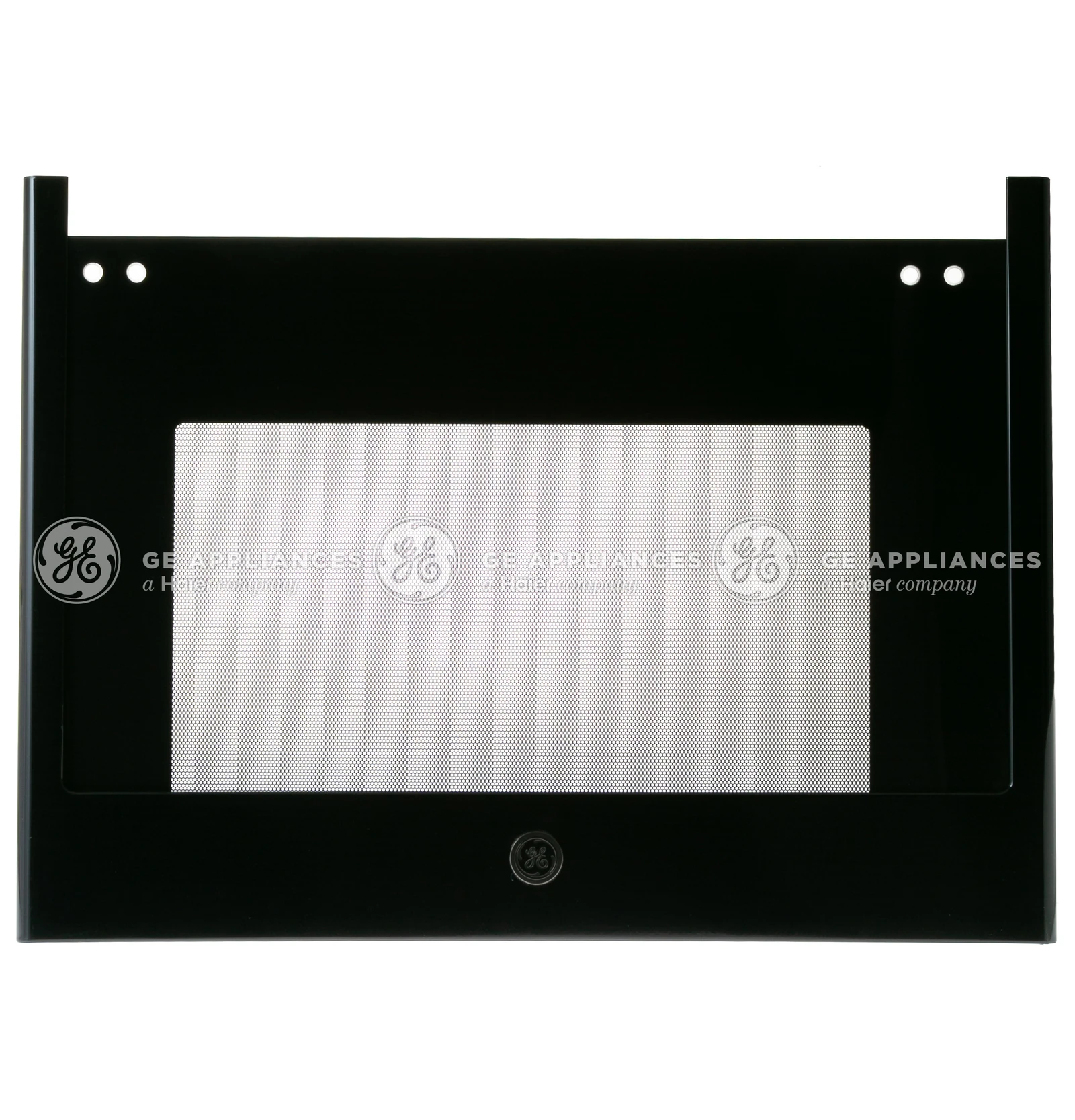Door Glass and Panel Assembly