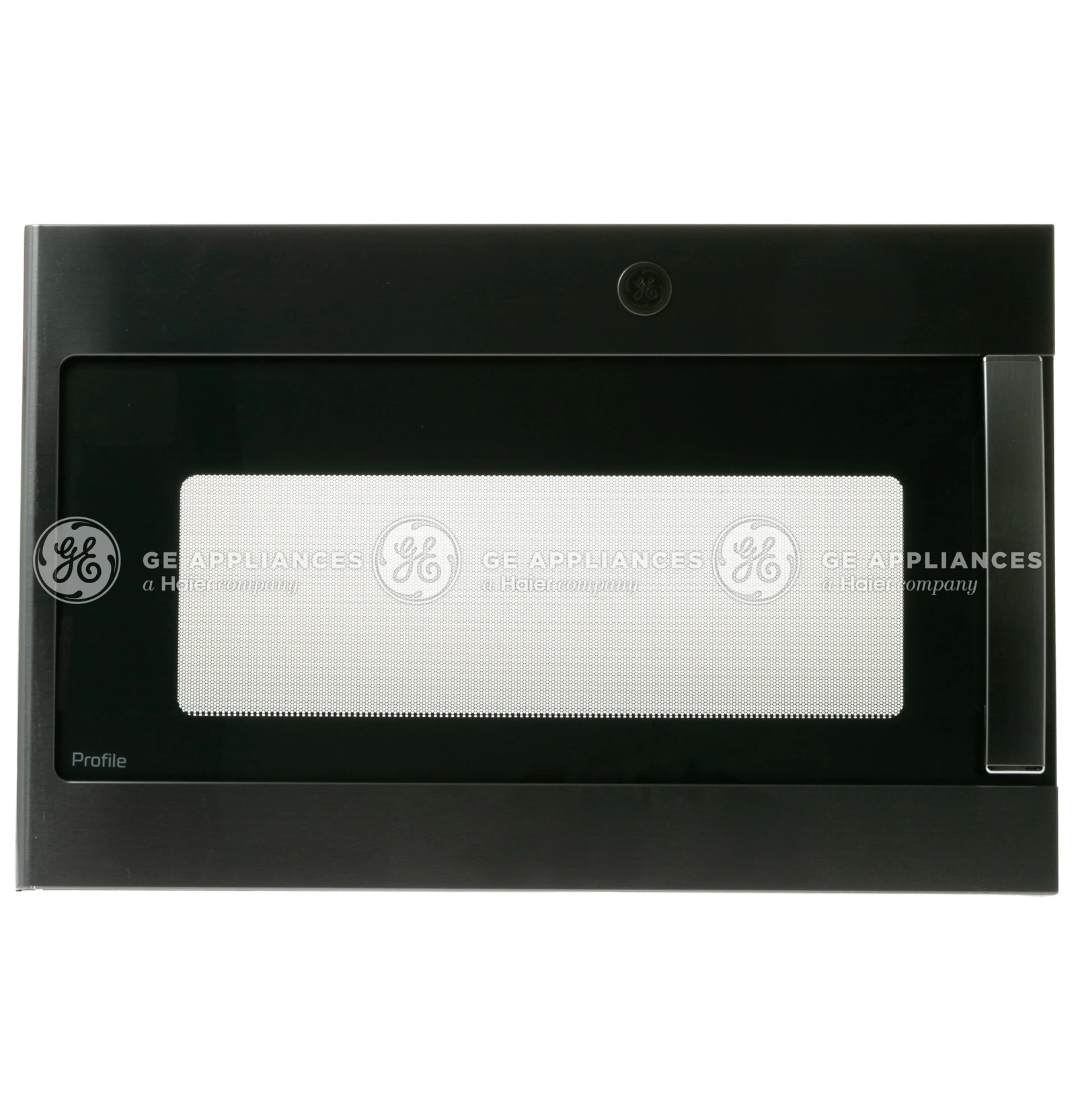 Black Stainless Door with FL