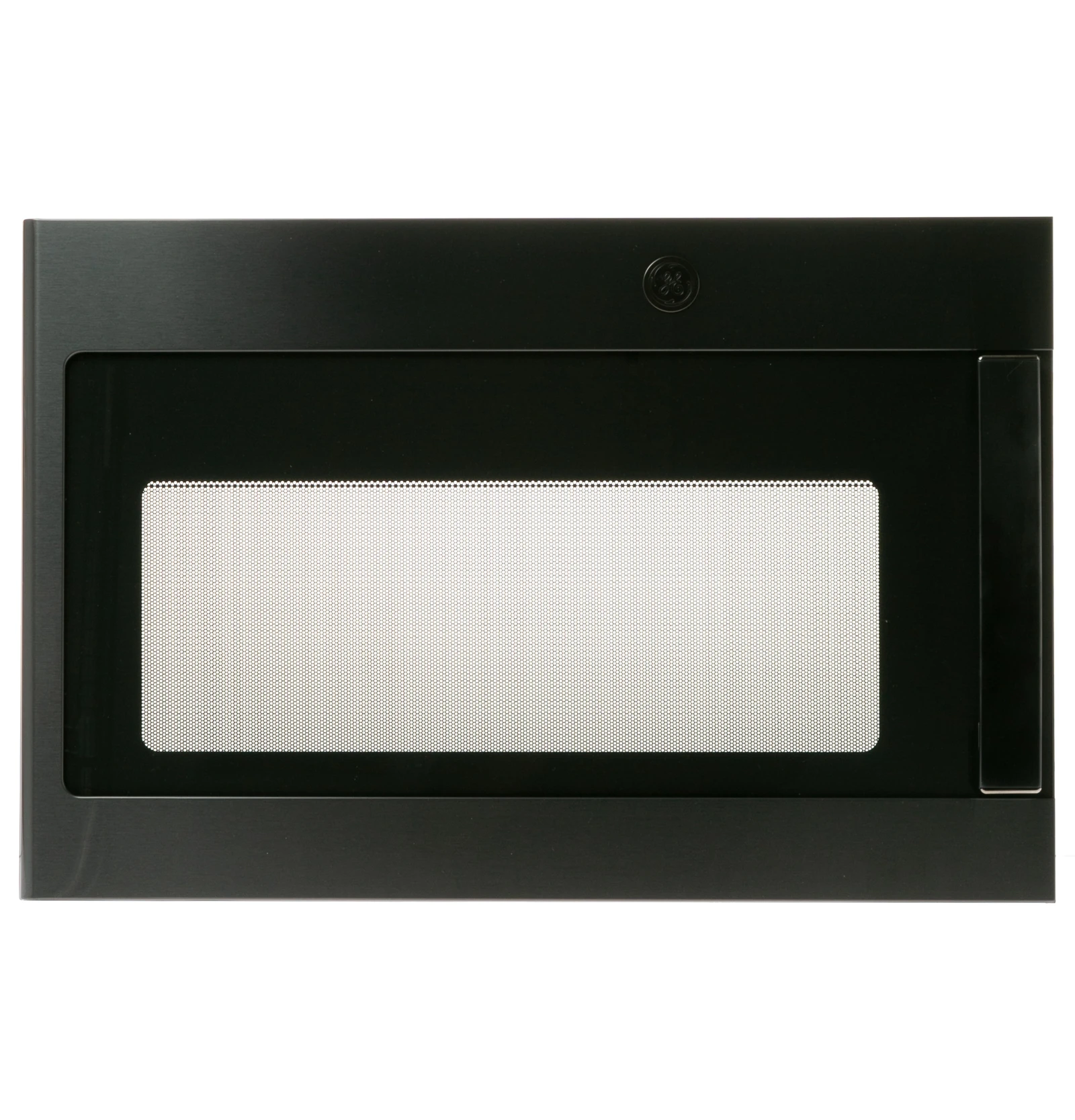 Black Stainless Steel Door