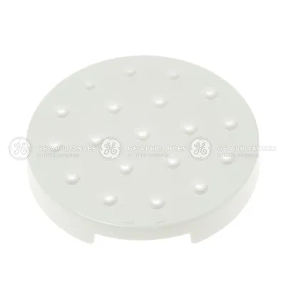 Matte White Shower Head