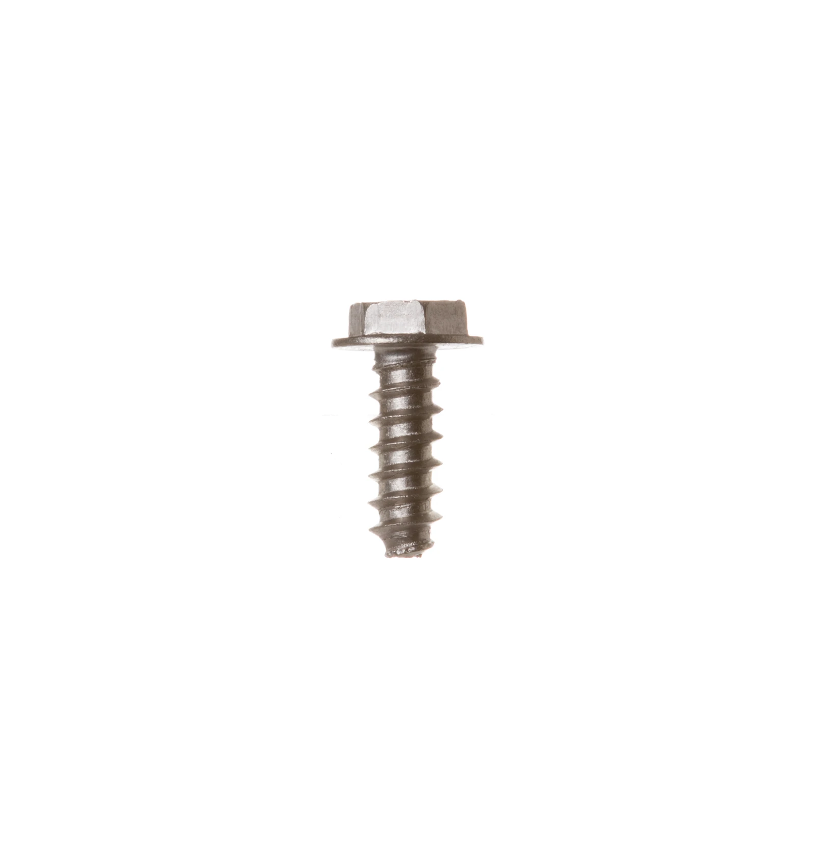 Stainless Steel Screw 8-16 HXW