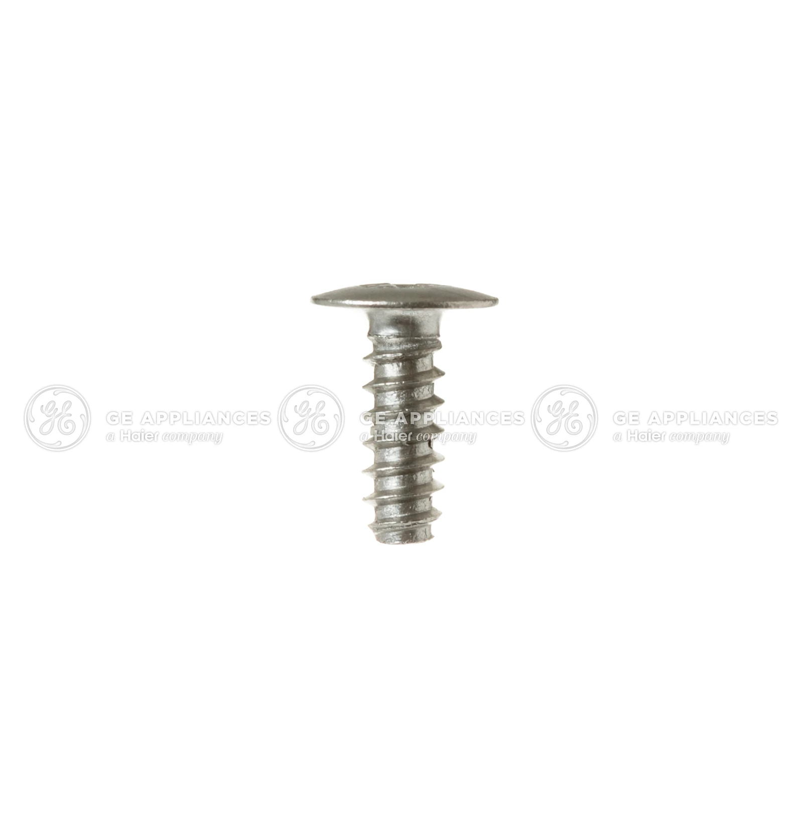 Stainless Steel 8-18 B Porcelain Screw 1/2