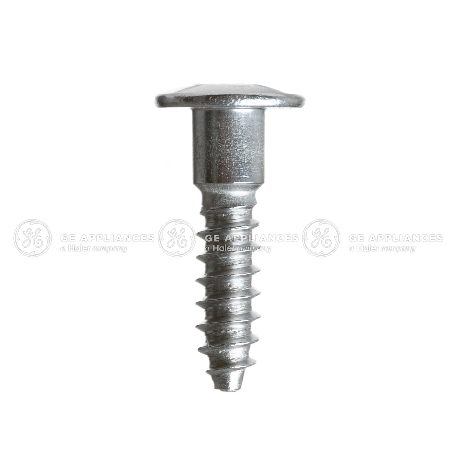 Screw 3/4" Stainless 8-18 Ab Pnp