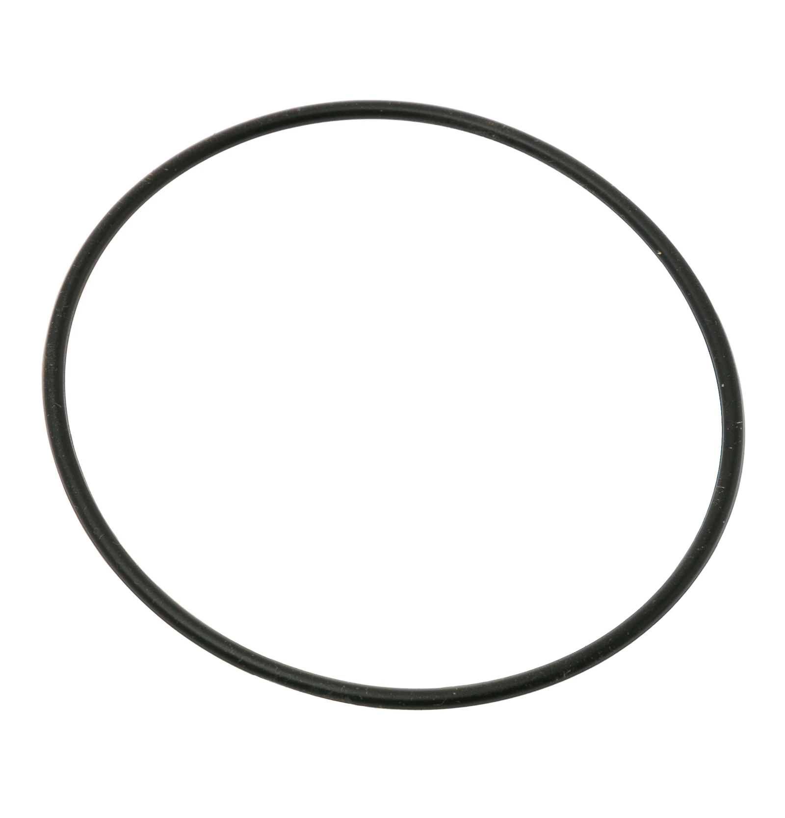 Pump and Motor Rotor O-Ring