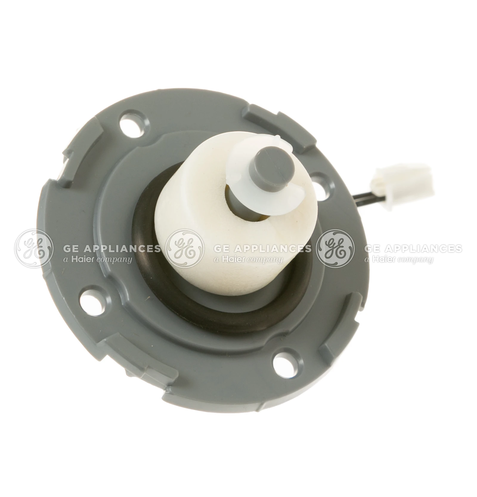 Float and Switch Assembly