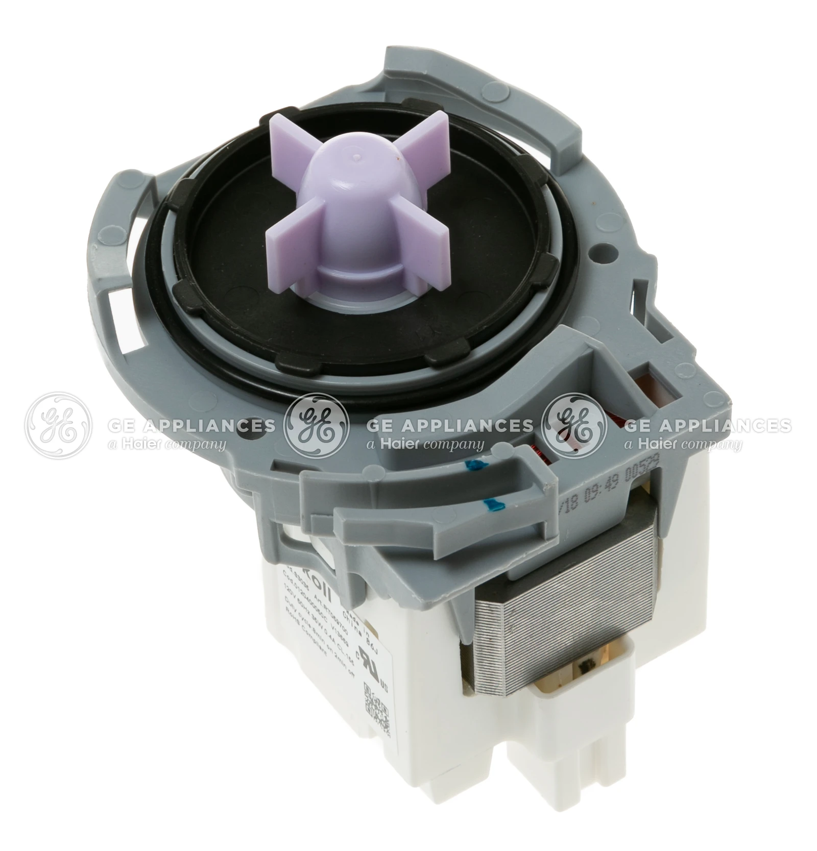 Drain Pump Assembly
