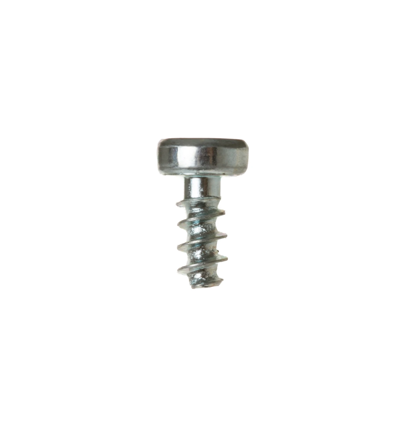 Screw 30 x 20 IA PP