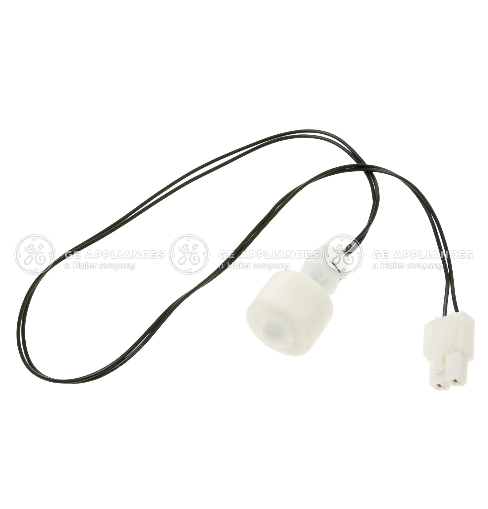 Float Switch