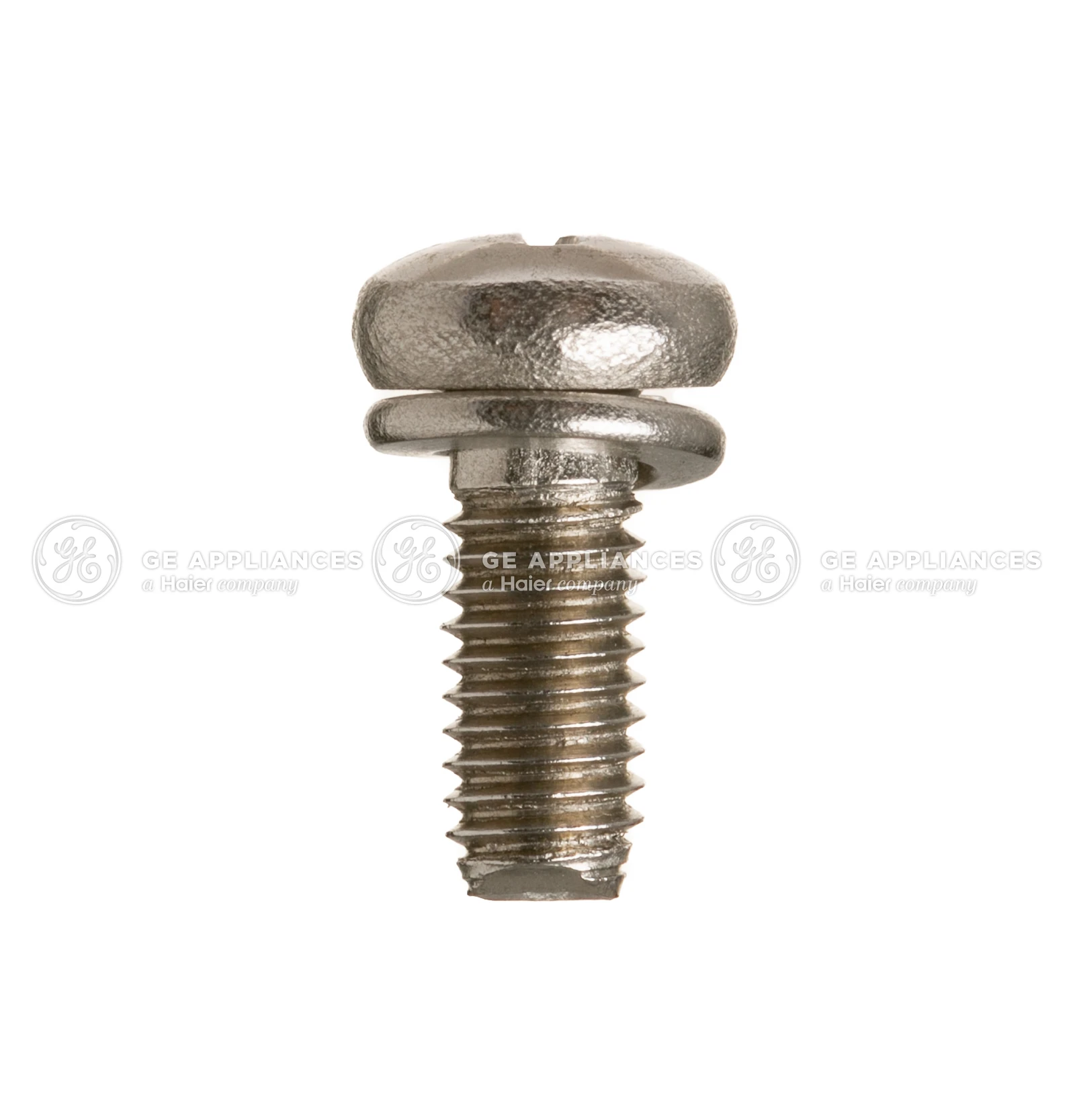Hinge Screw