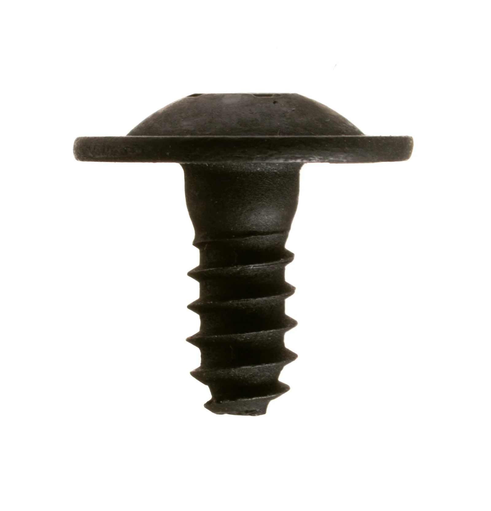 Plain Screw and Dryers