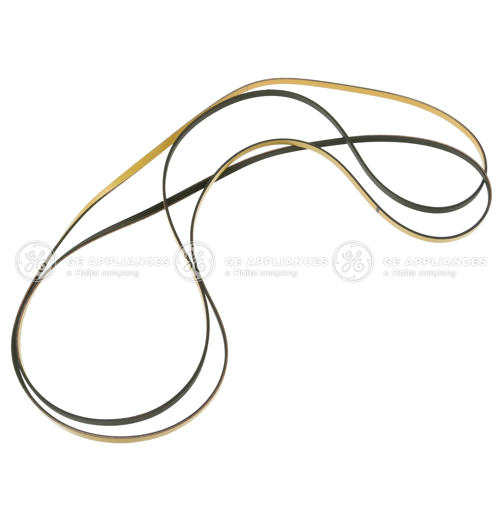 Drive Belt